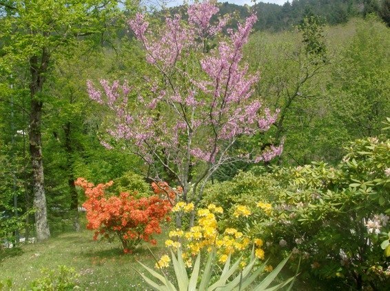 Casa nella natura a Borzonasca