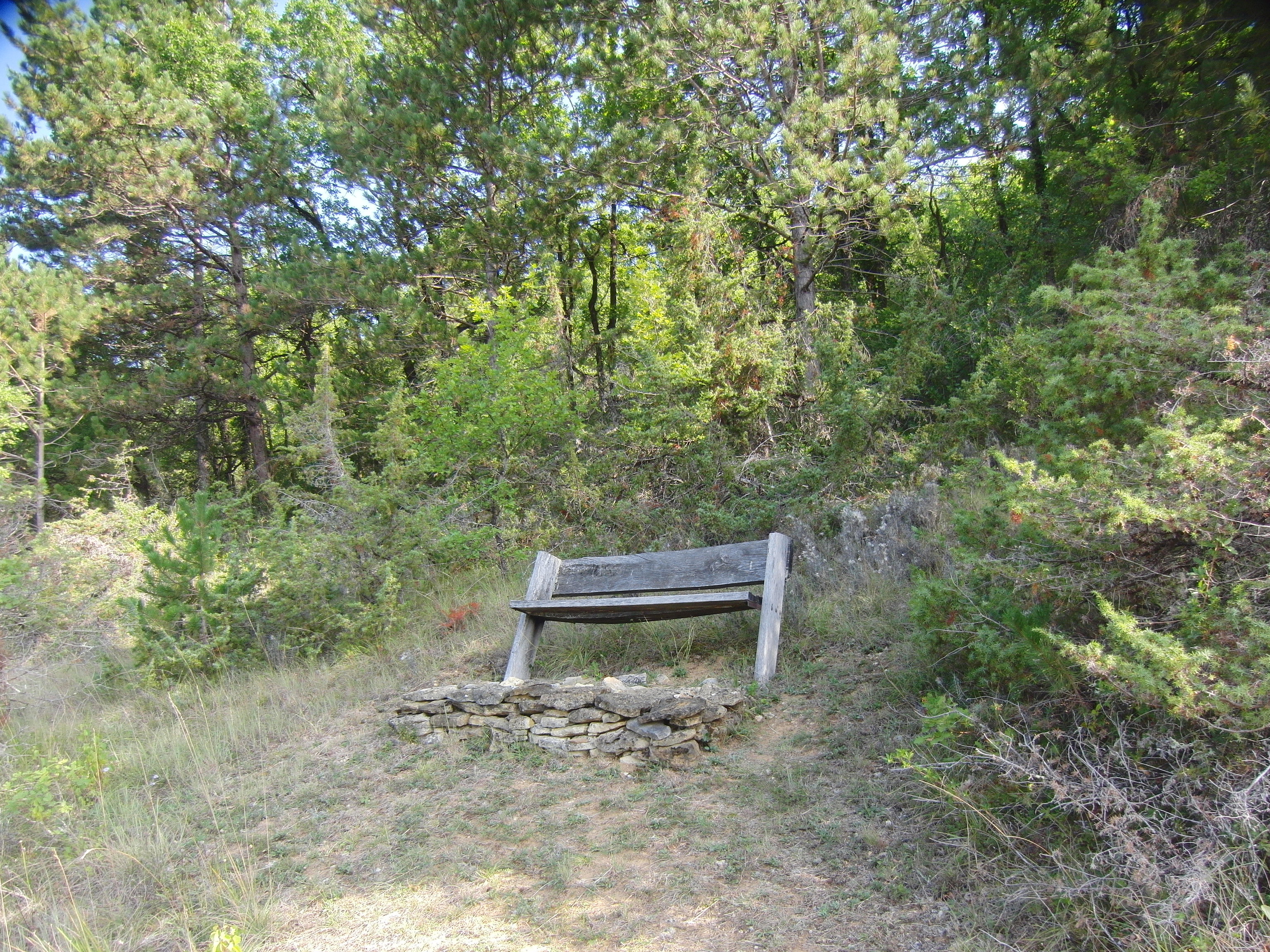 - image: 12