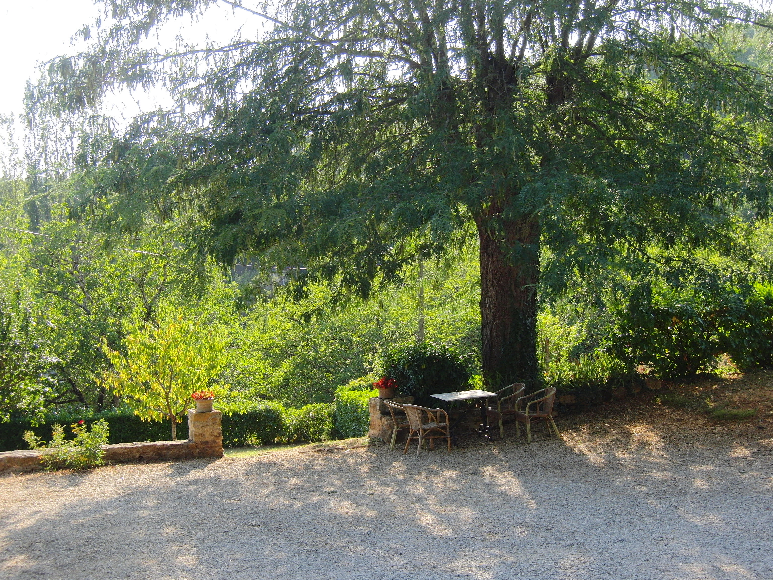 - image: 13