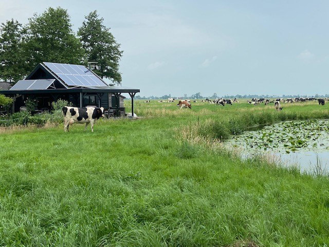 Naturhäuschen in Bergambacht