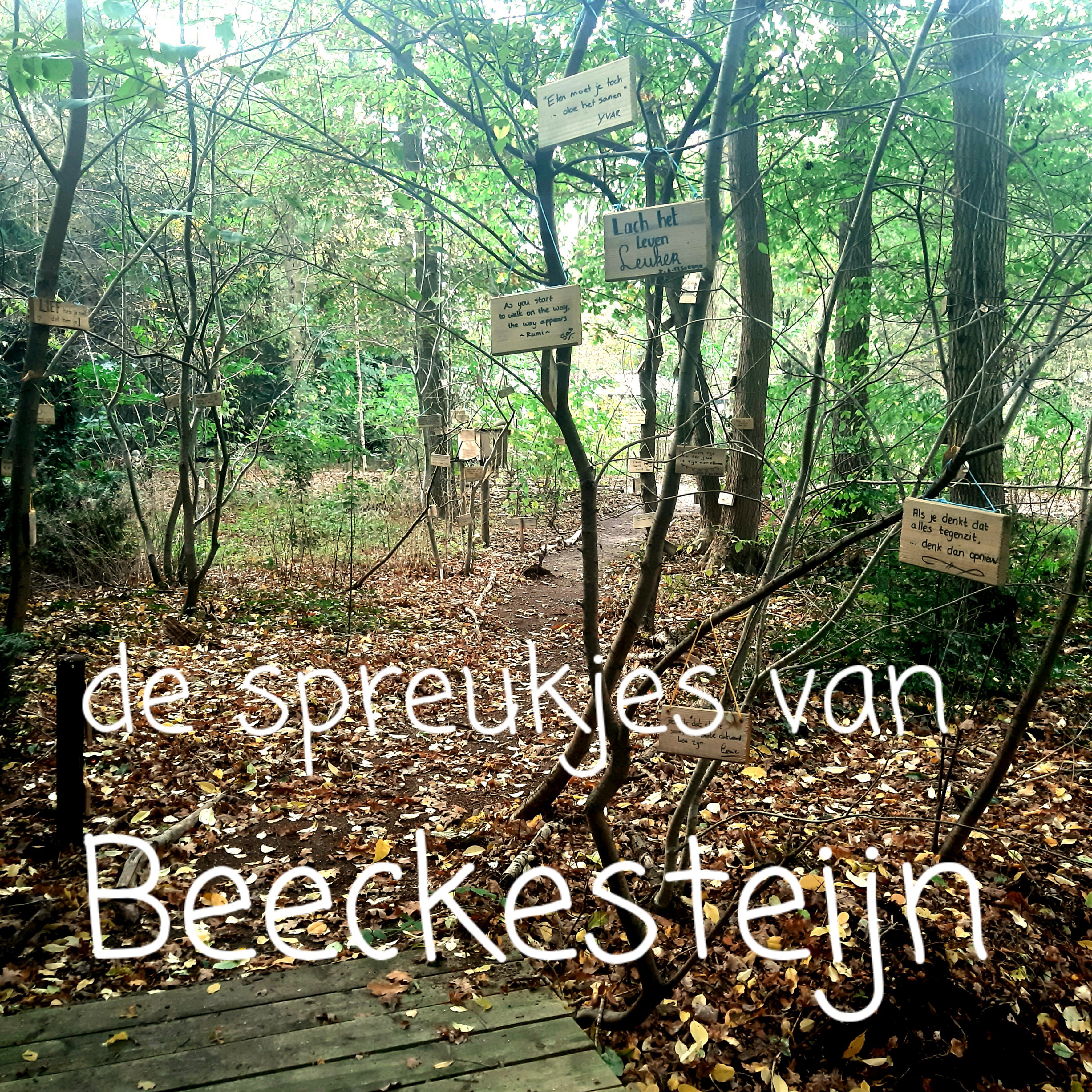 - image: 73