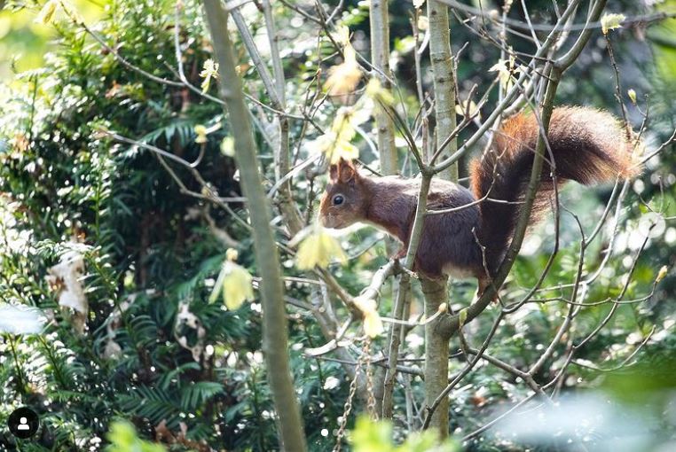 Casa nella natura a Doldersum