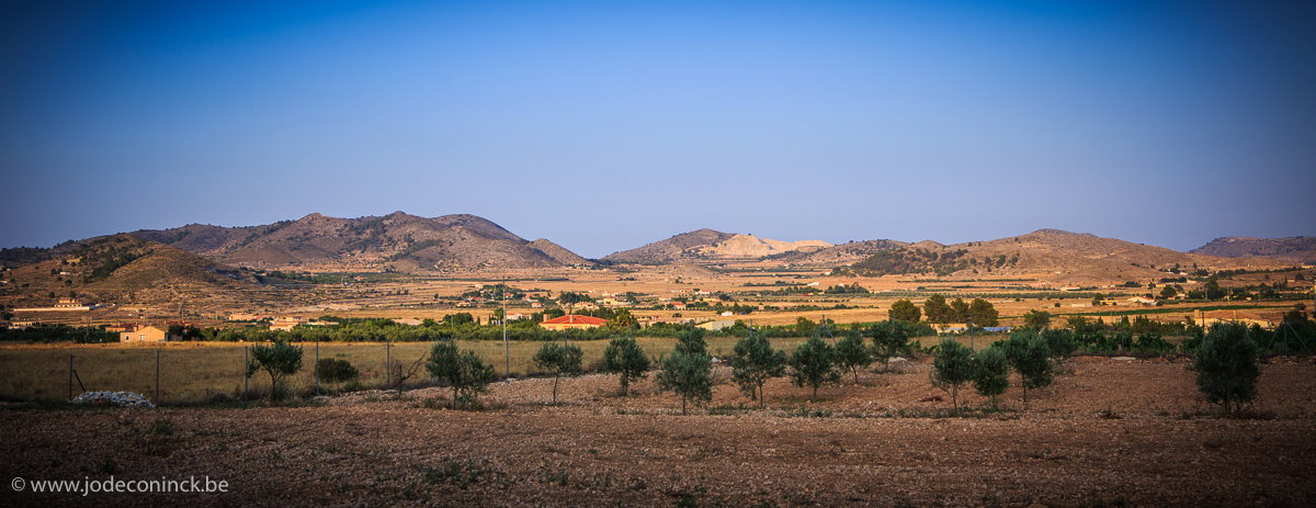 - image: 11