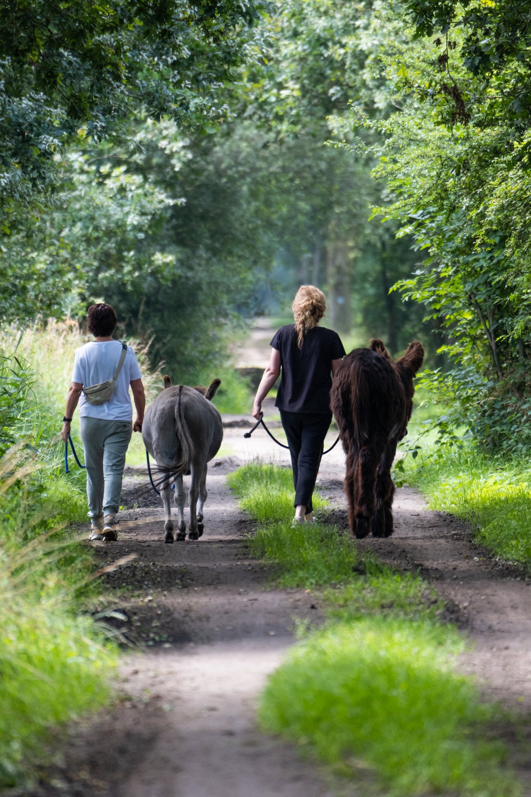 Natuurhuisje in Langenboom