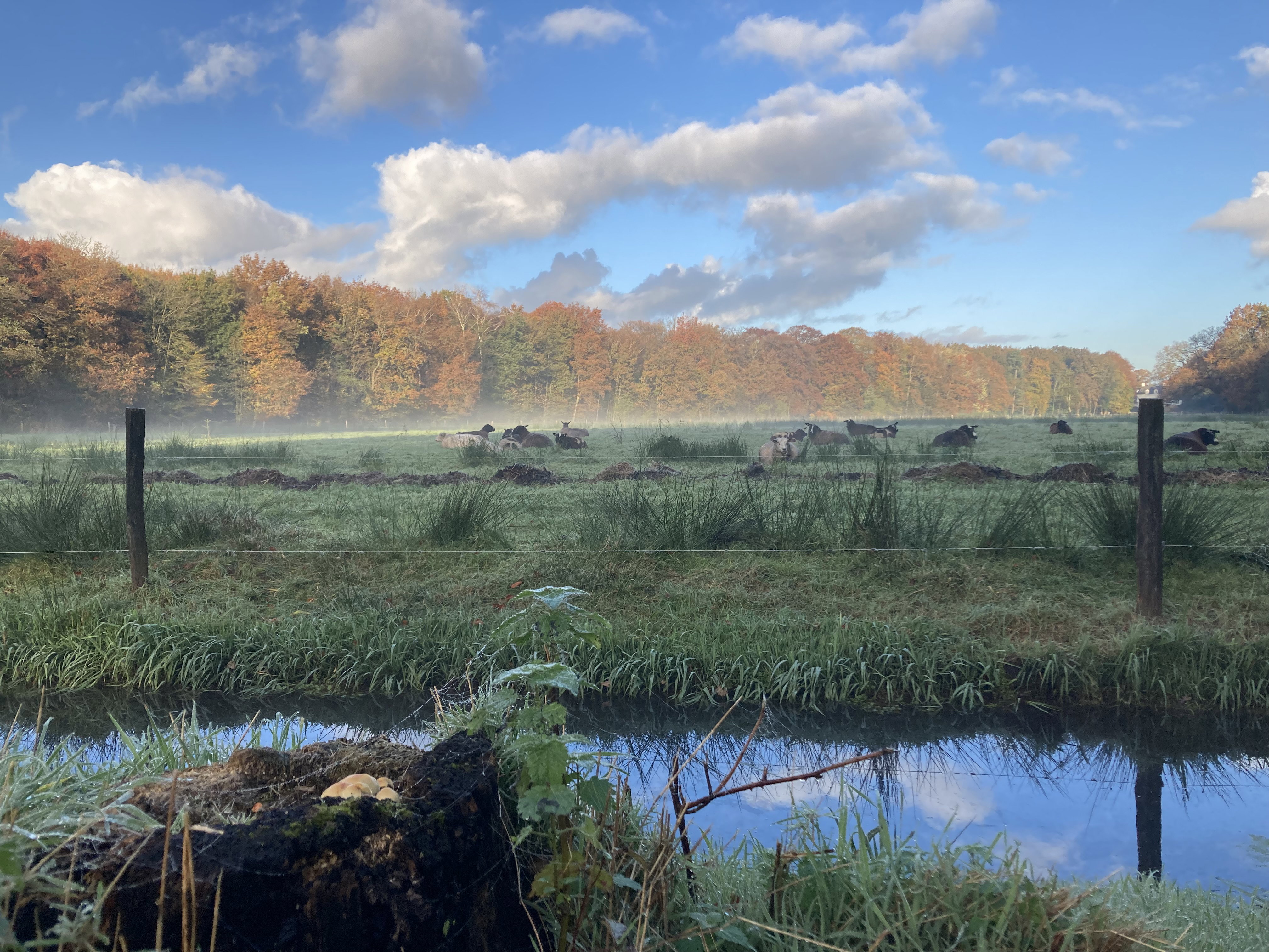 Naturhäuschen in Doornspijk