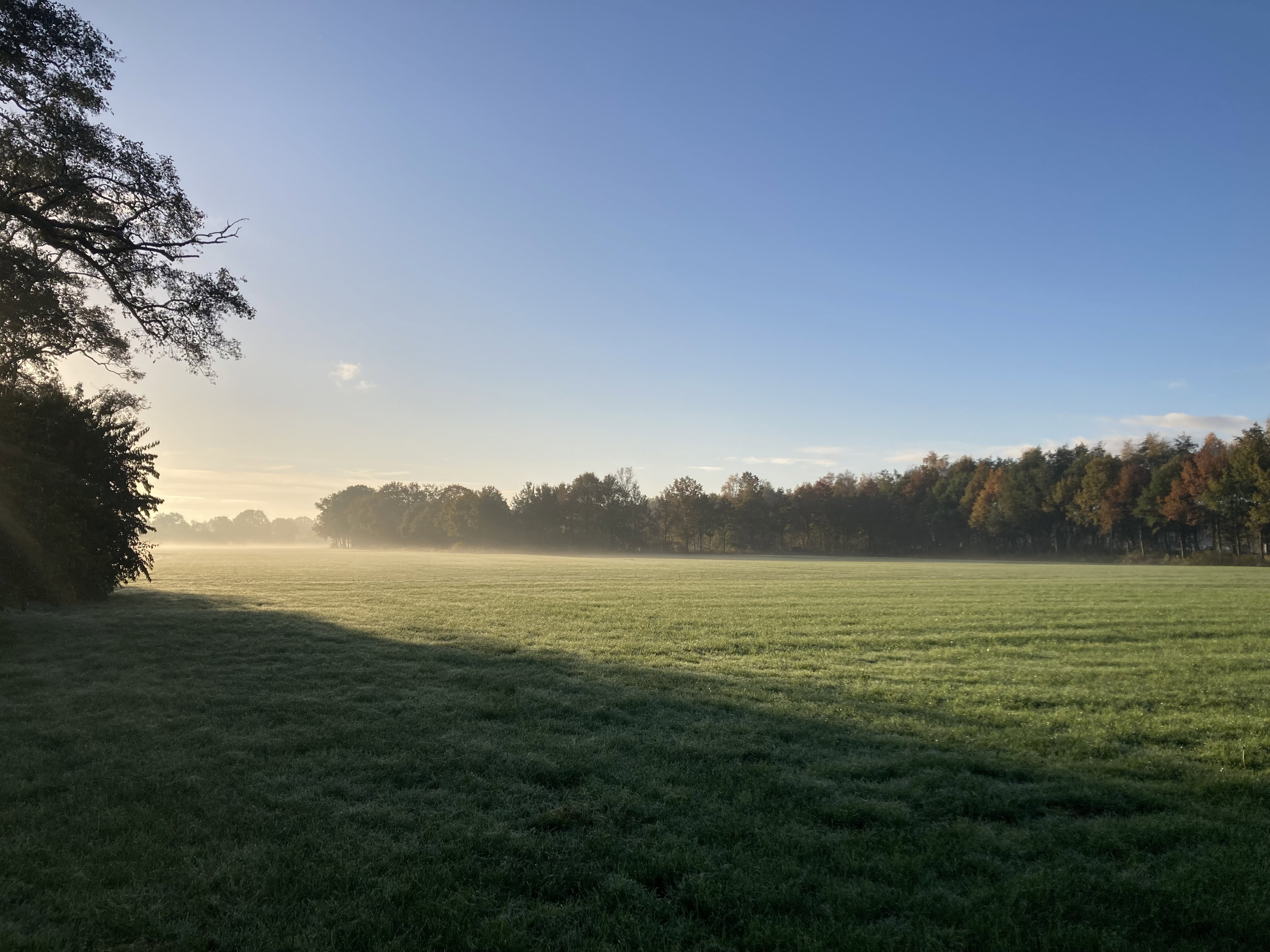 Naturhäuschen in Doornspijk
