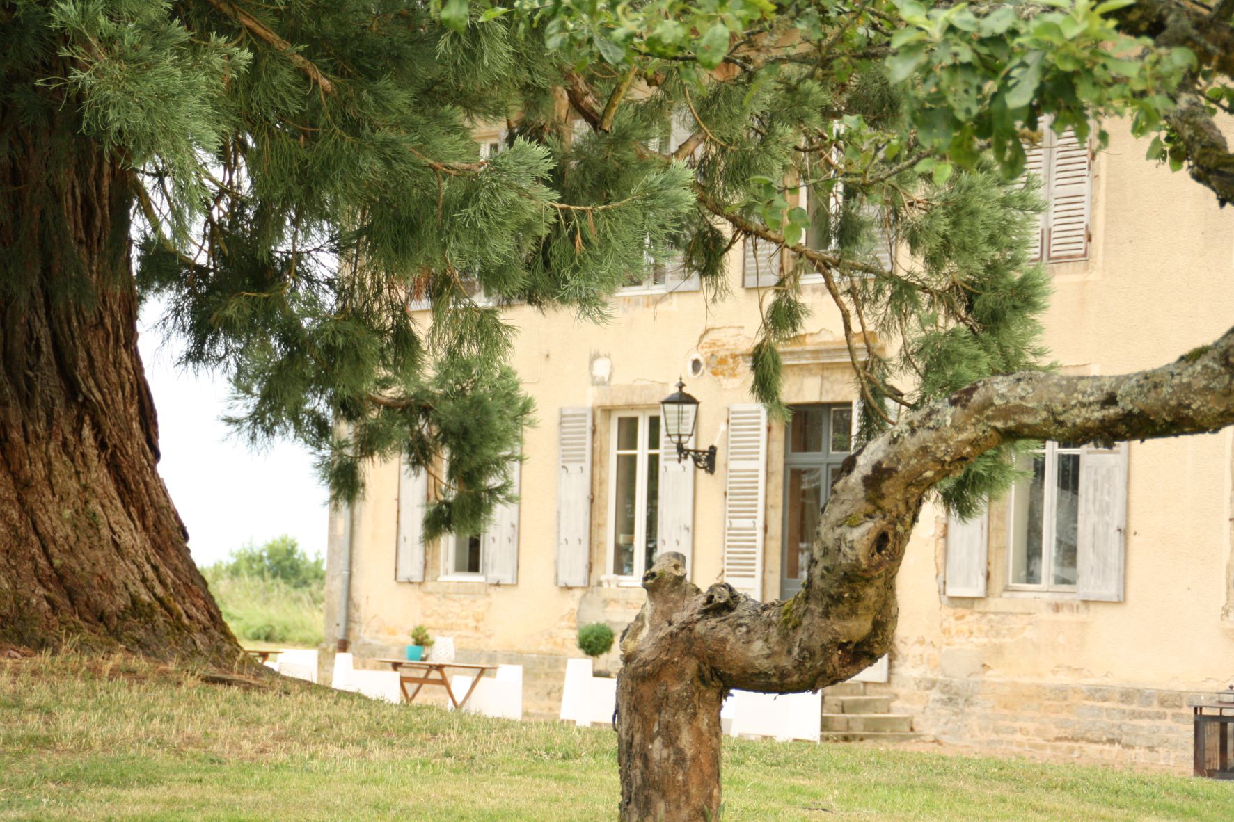 - image: 20