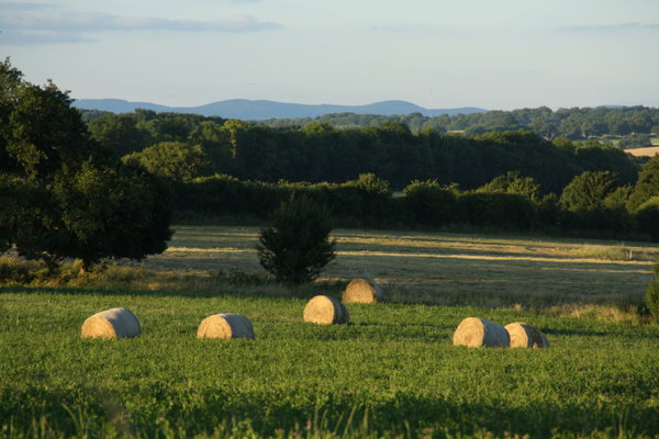 Maison nature à Saint Saulge