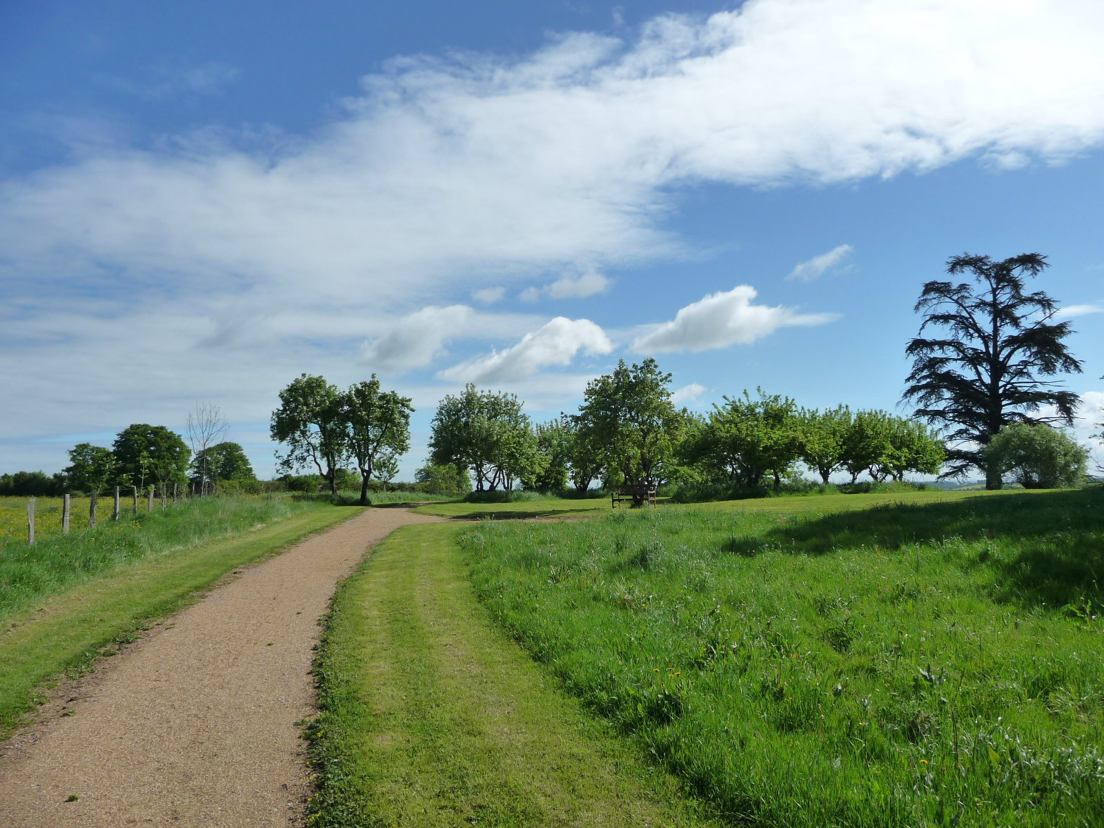 - image: 26