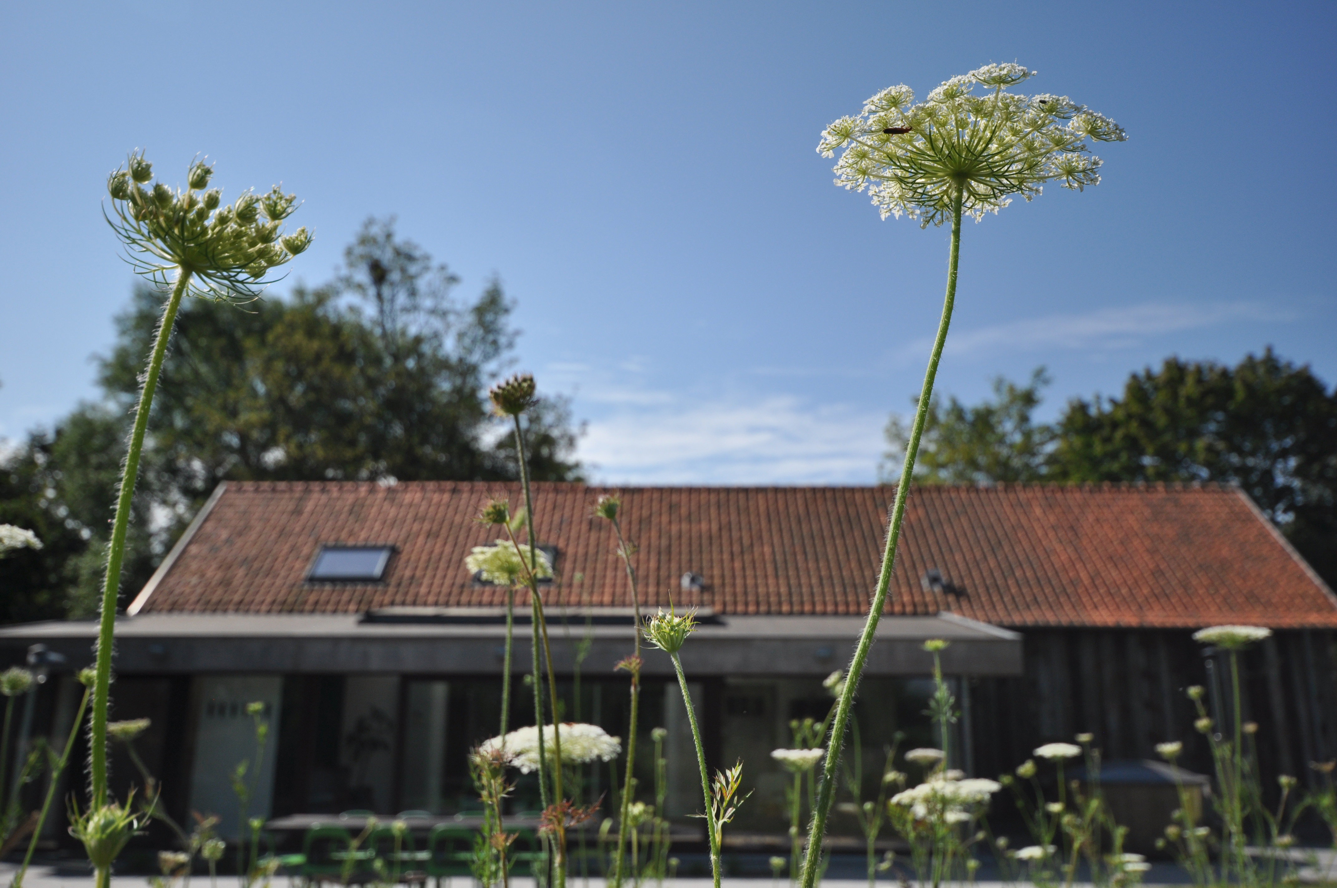 Casa nella natura a Lievegem