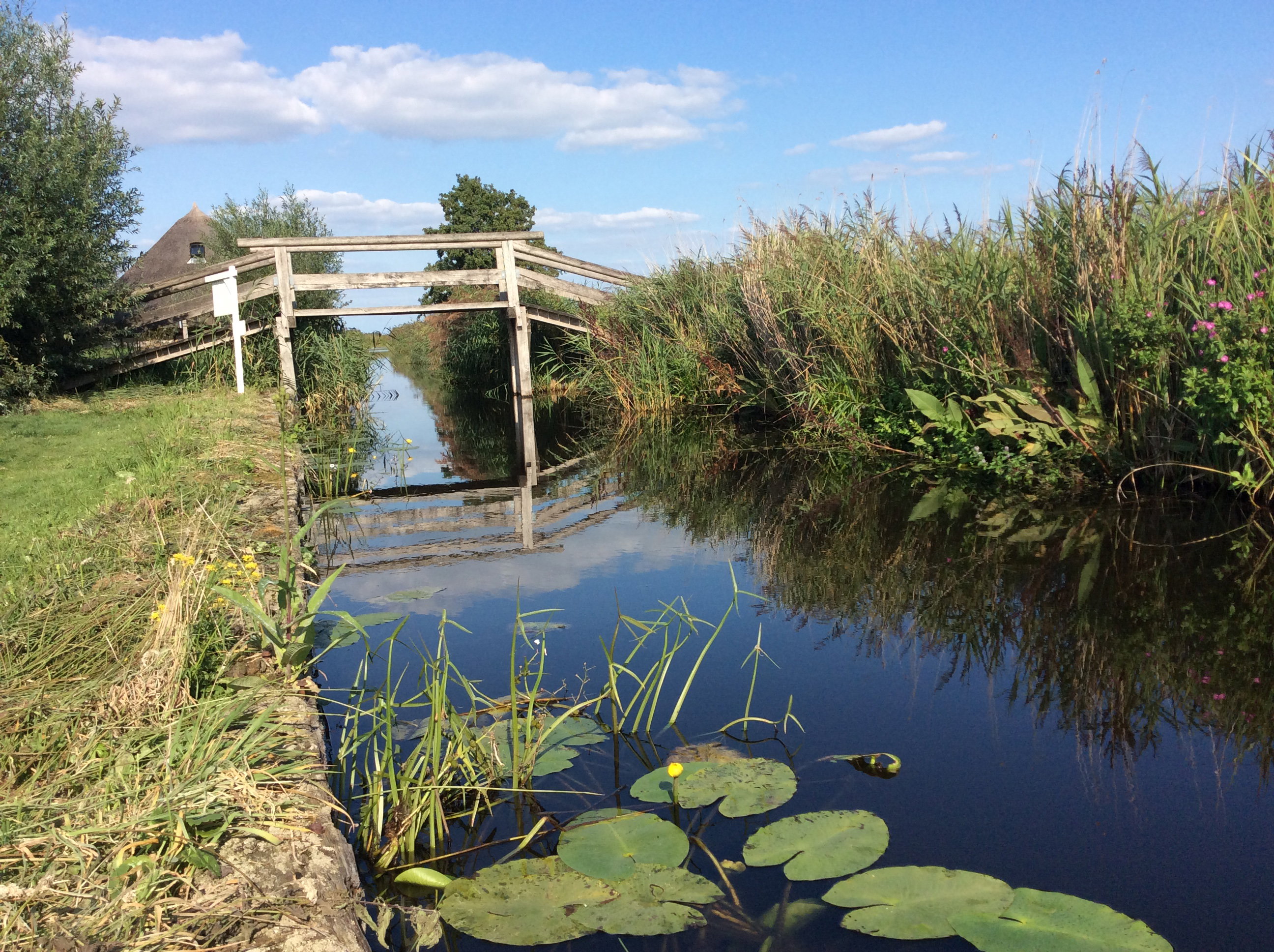 Naturhäuschen in Sint Jansklooster