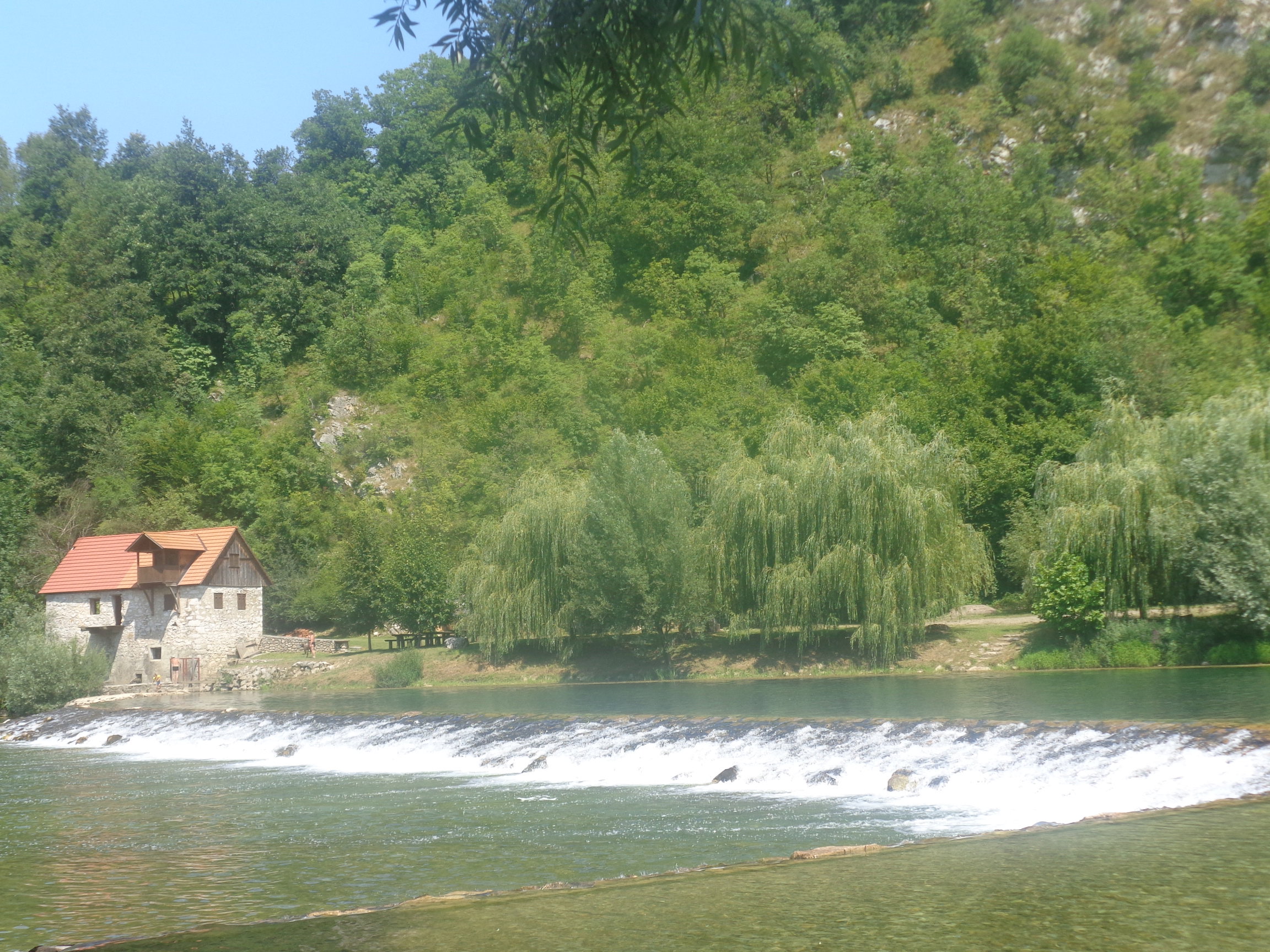 - image: 16