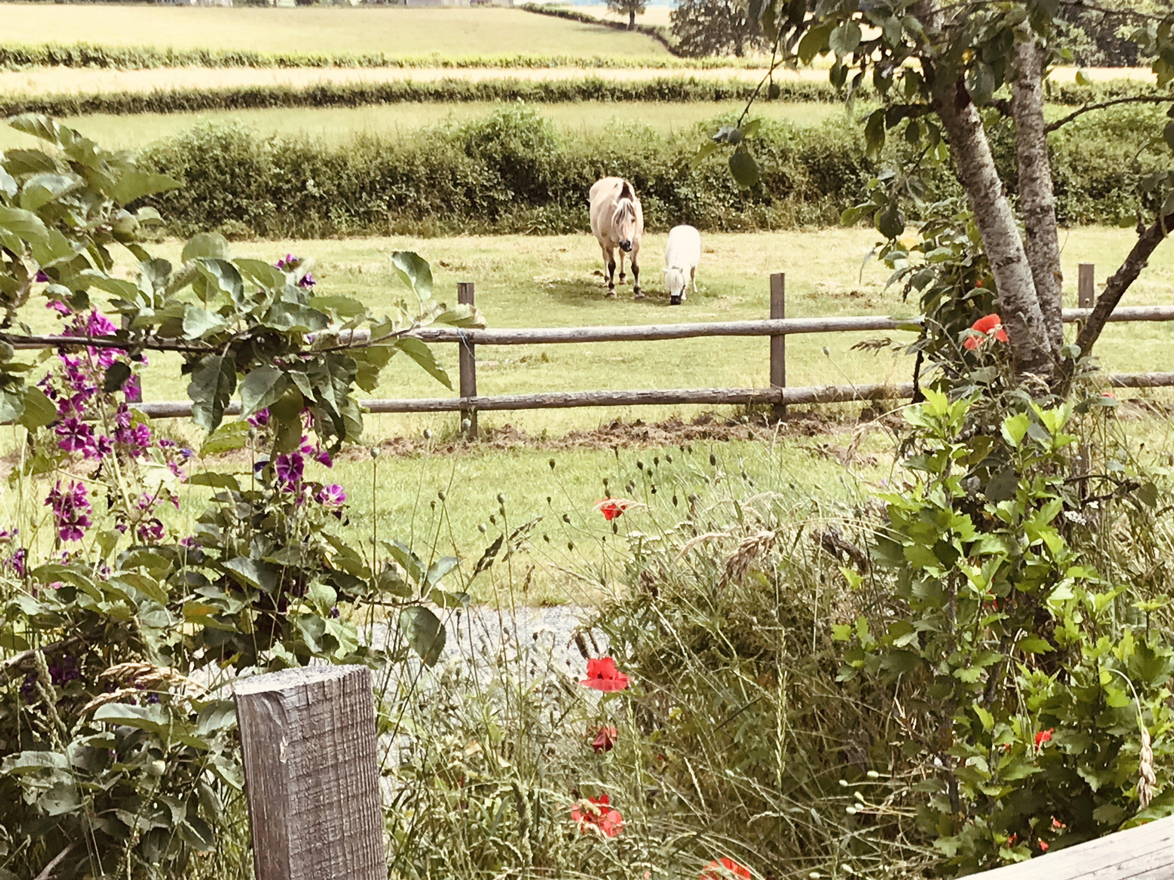 Nature house in Saint didier sur arroux