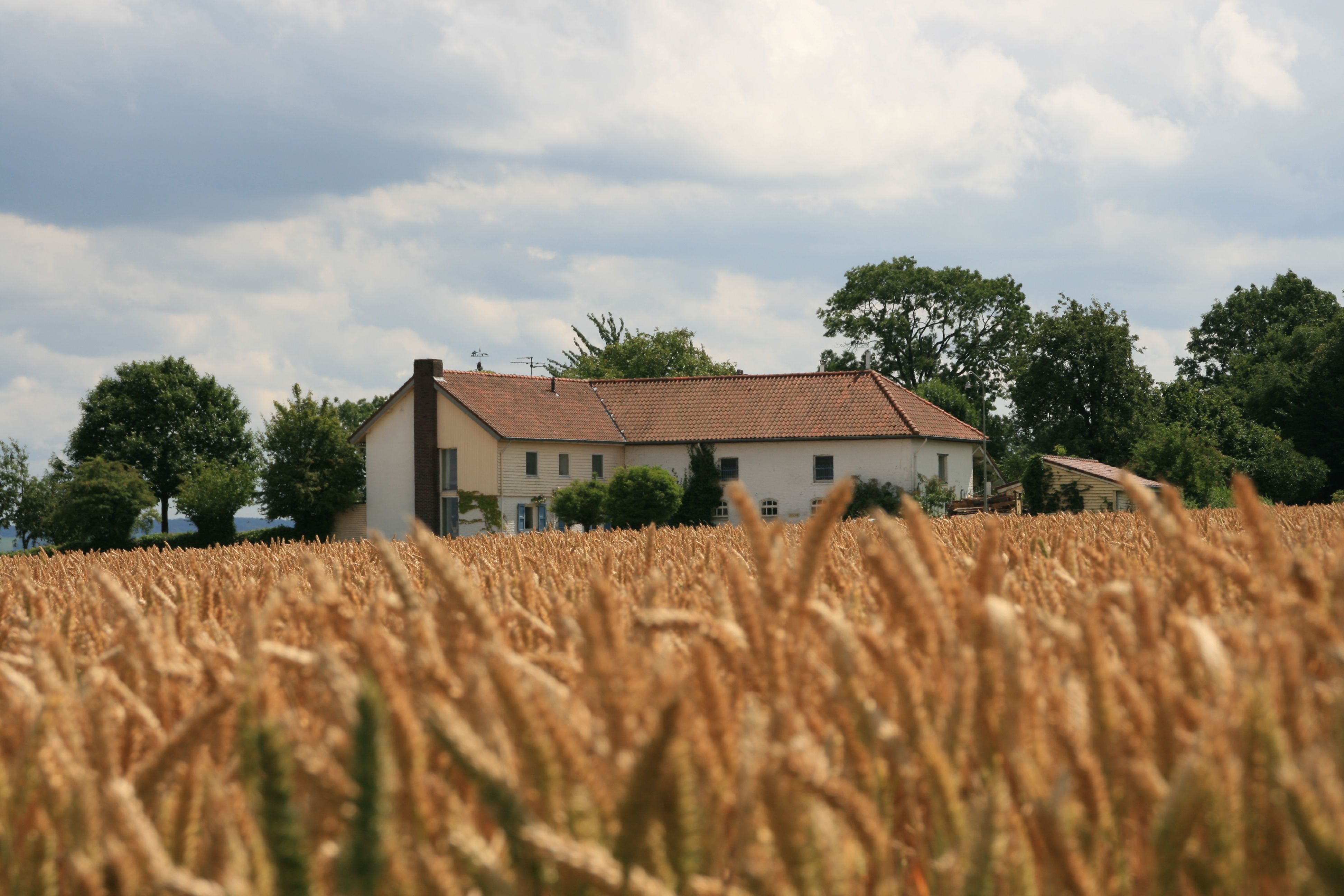 Maison nature à Slenaken