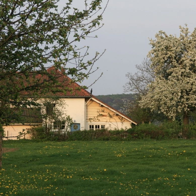 - image: 11