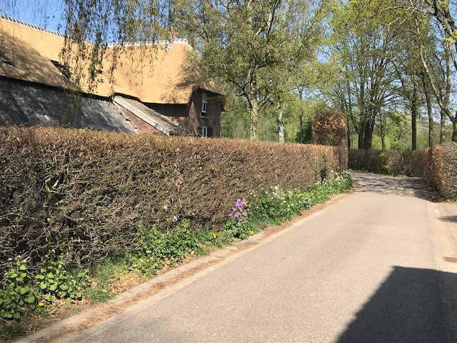 Natuurhuisje in Huisseling