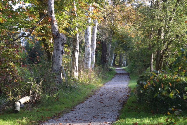 Natuurhuisje in Munnekeburen