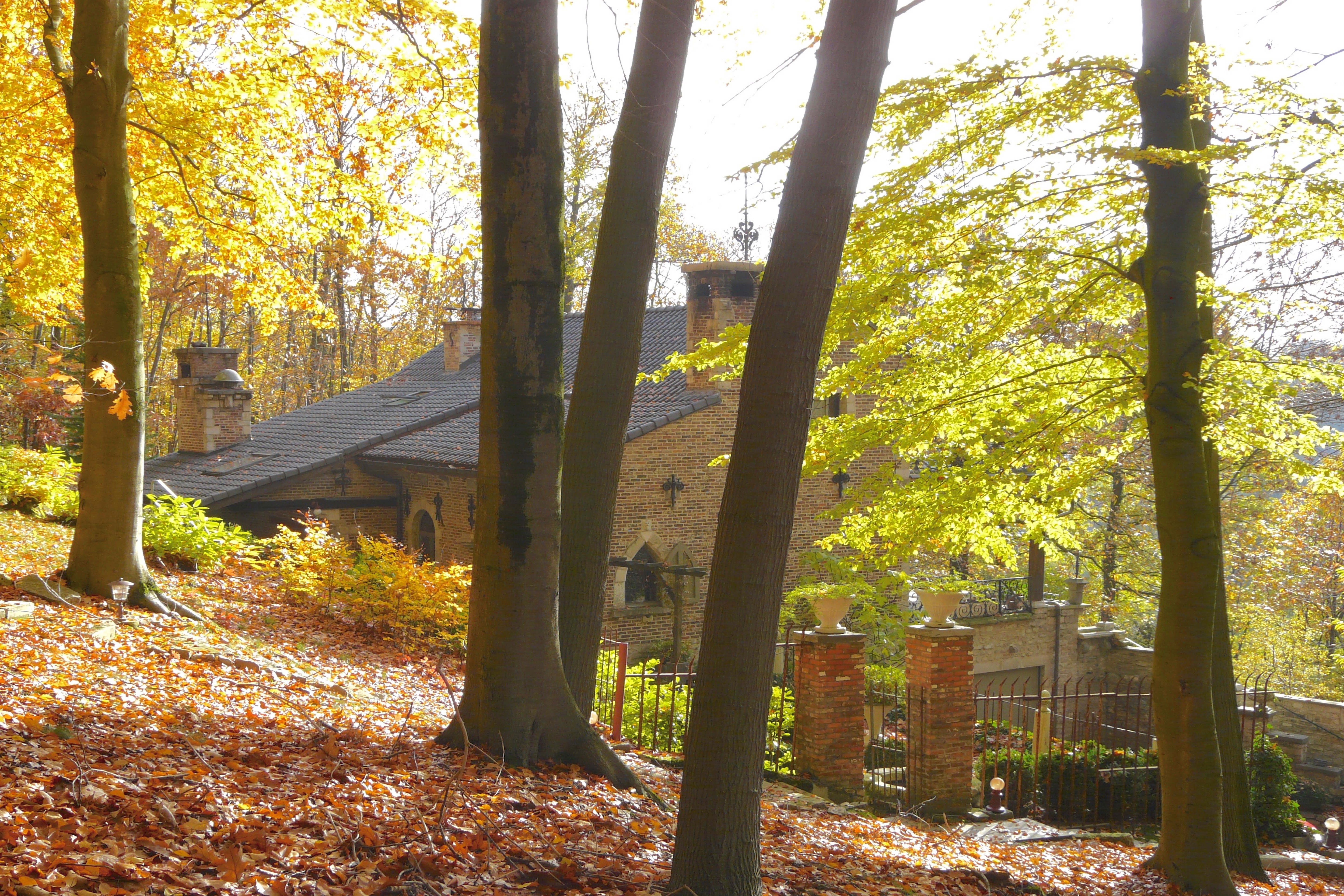Casa nella natura a Leuven
