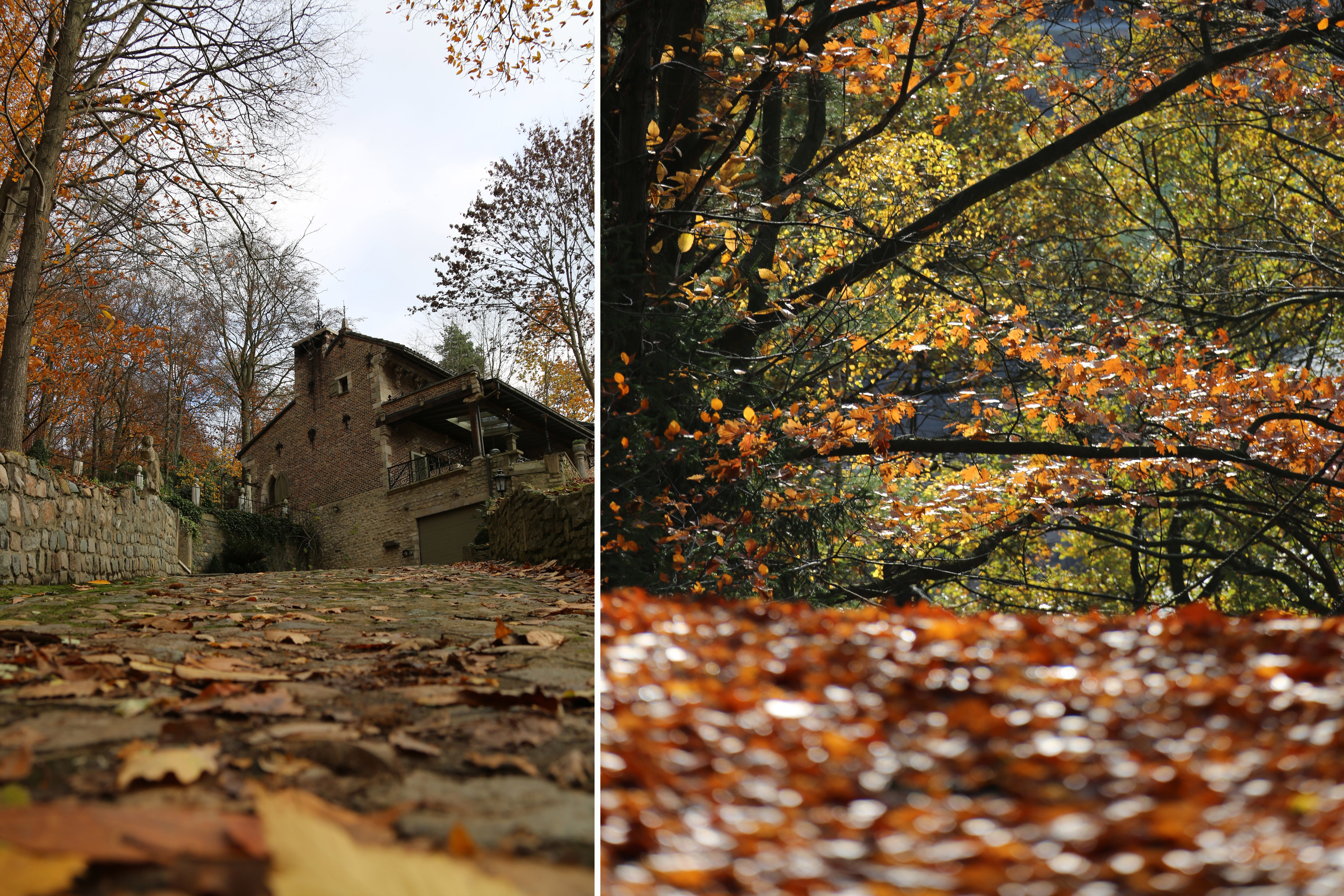 Casa nella natura a Leuven
