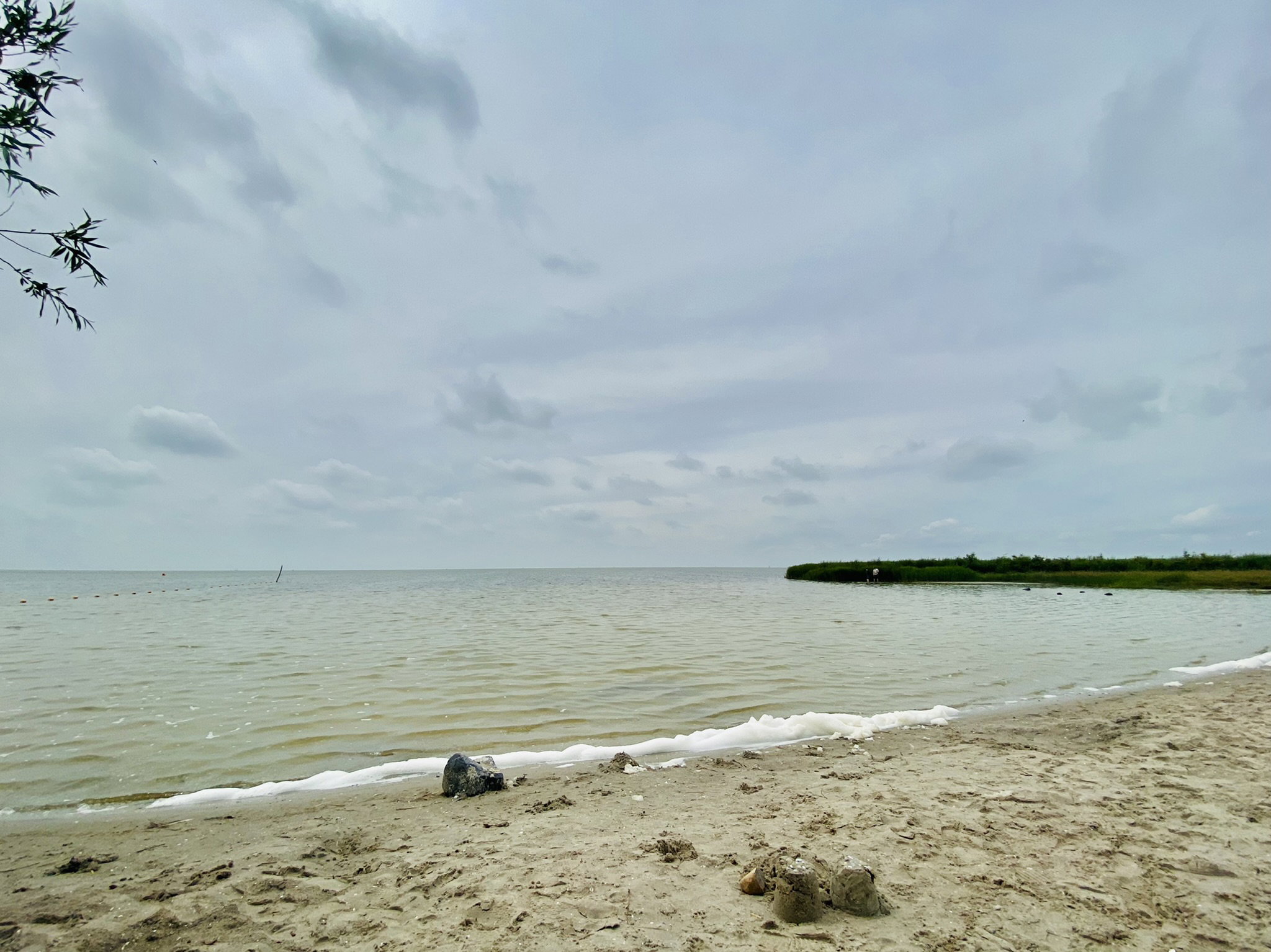 - image: 29
