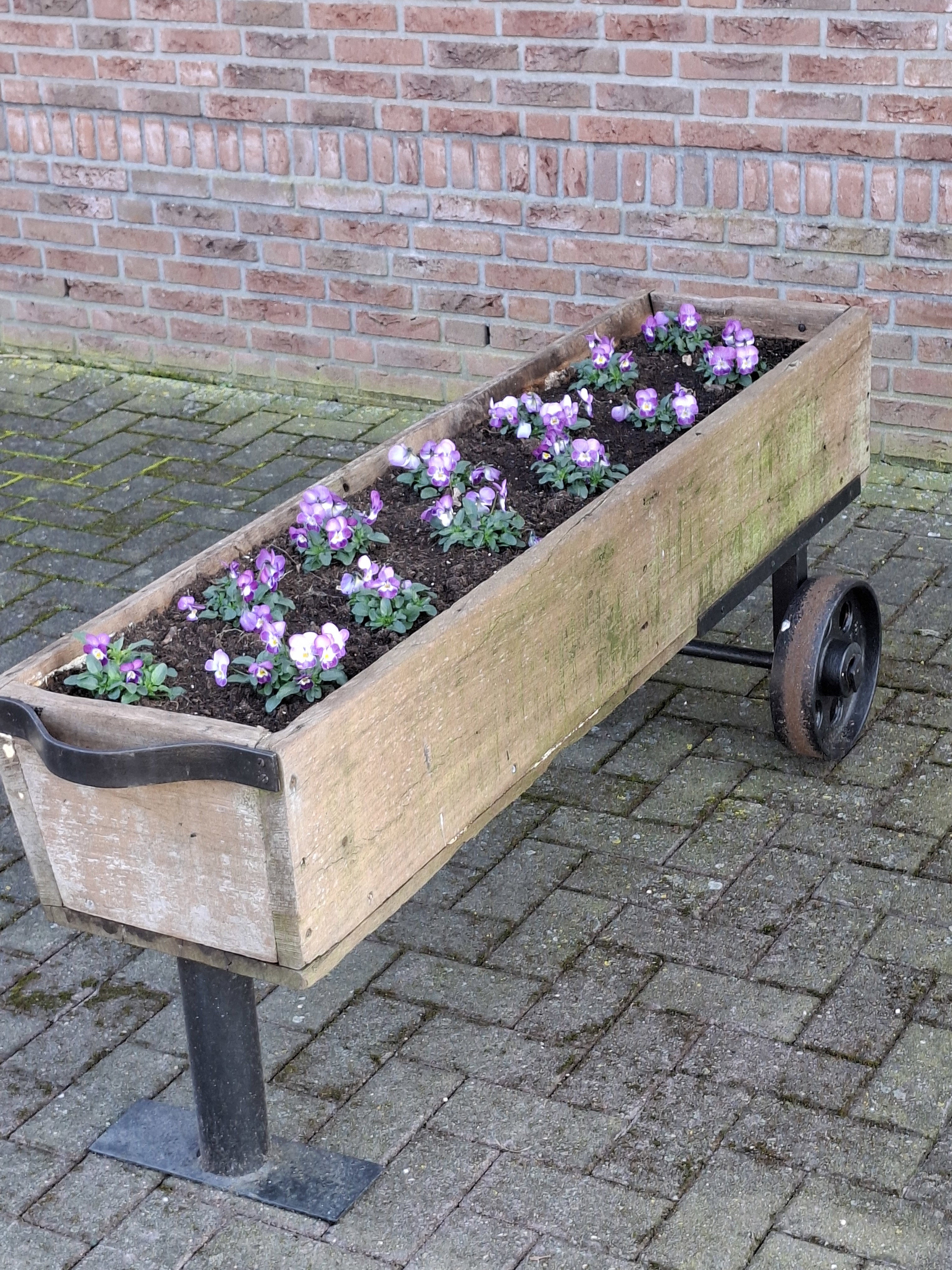 Natuurhuisje in Lattrop Breklenkamp