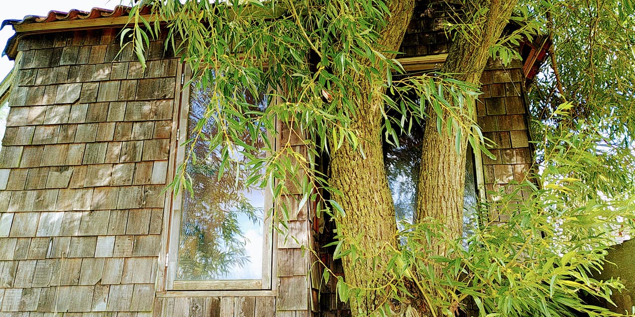 Maison nature à Roodeschool