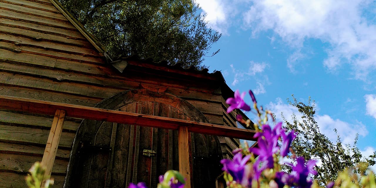 Maison nature à Roodeschool