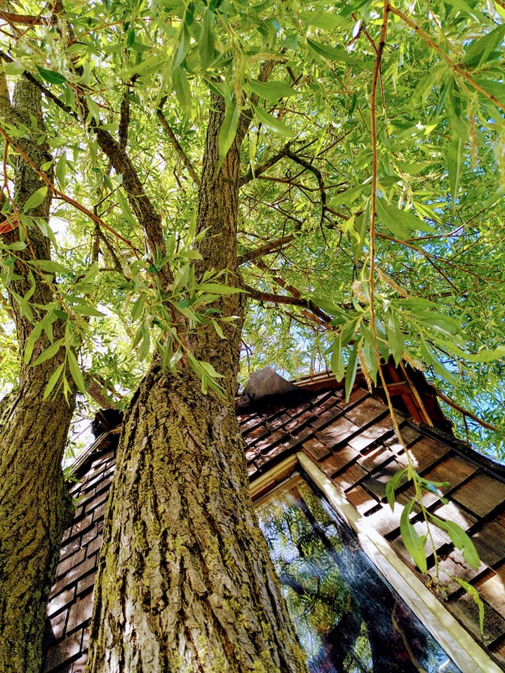 Maison nature à Roodeschool