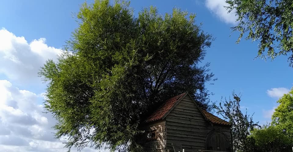 Maison nature à Roodeschool