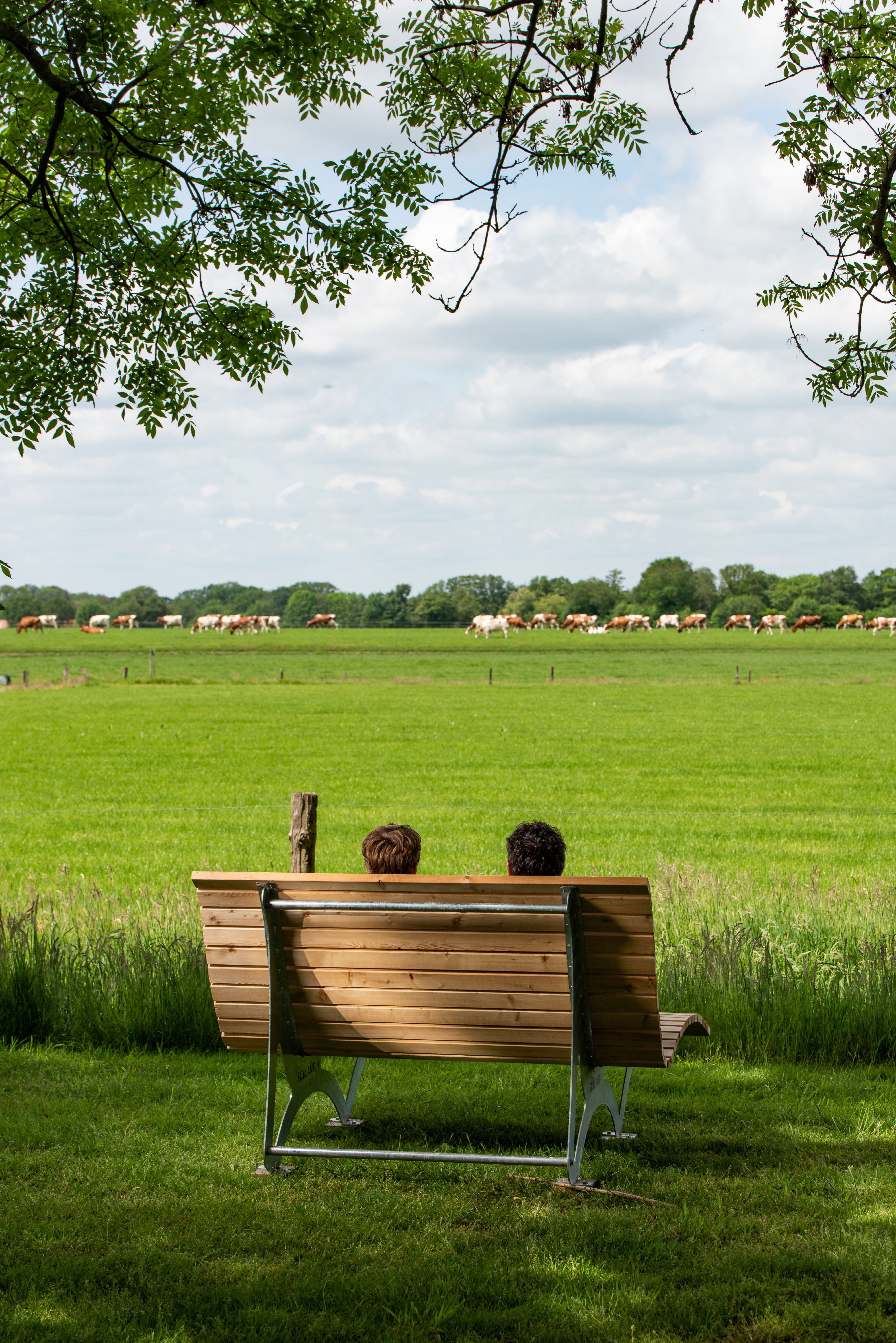 Natuurhuisje in Beuningen