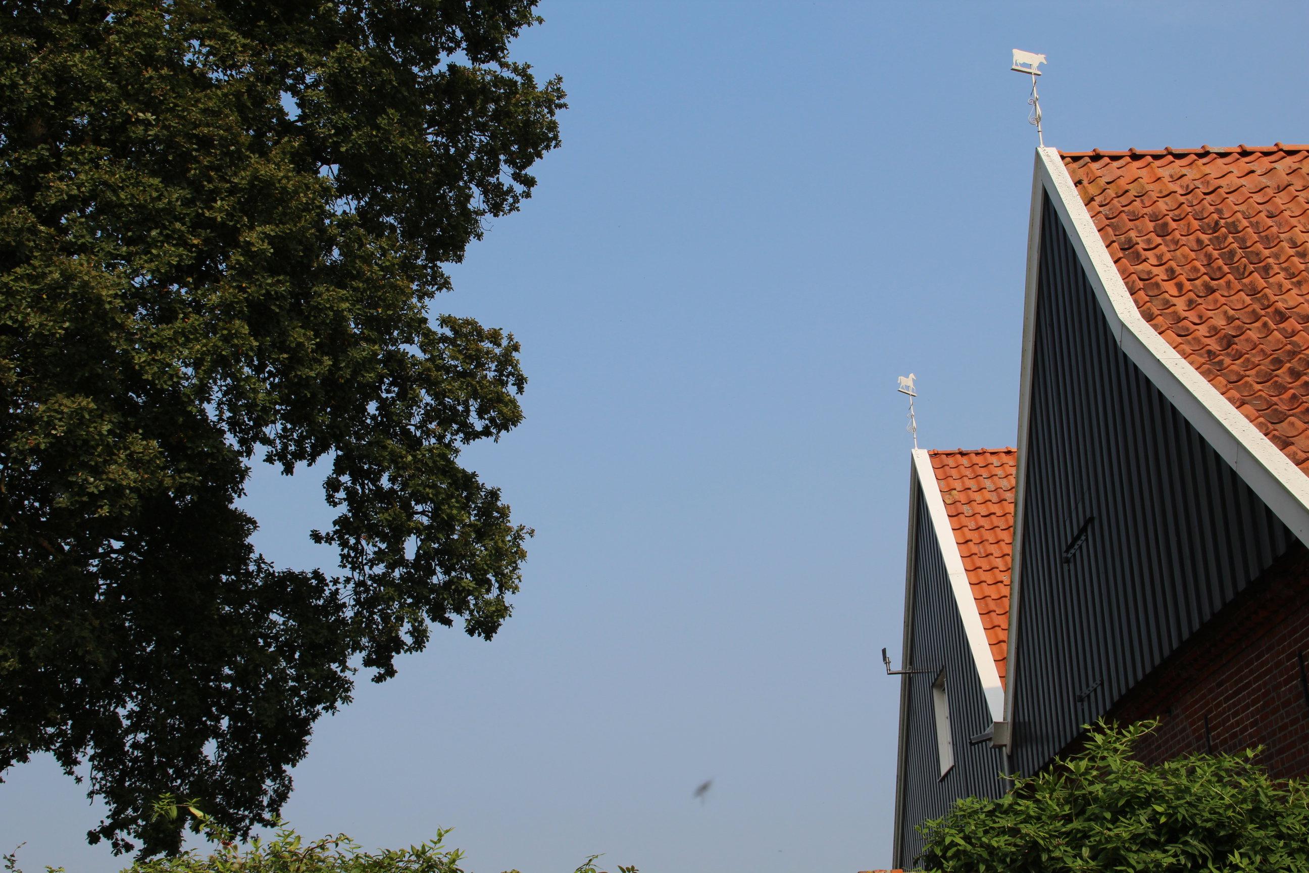 Maison nature à Beuningen