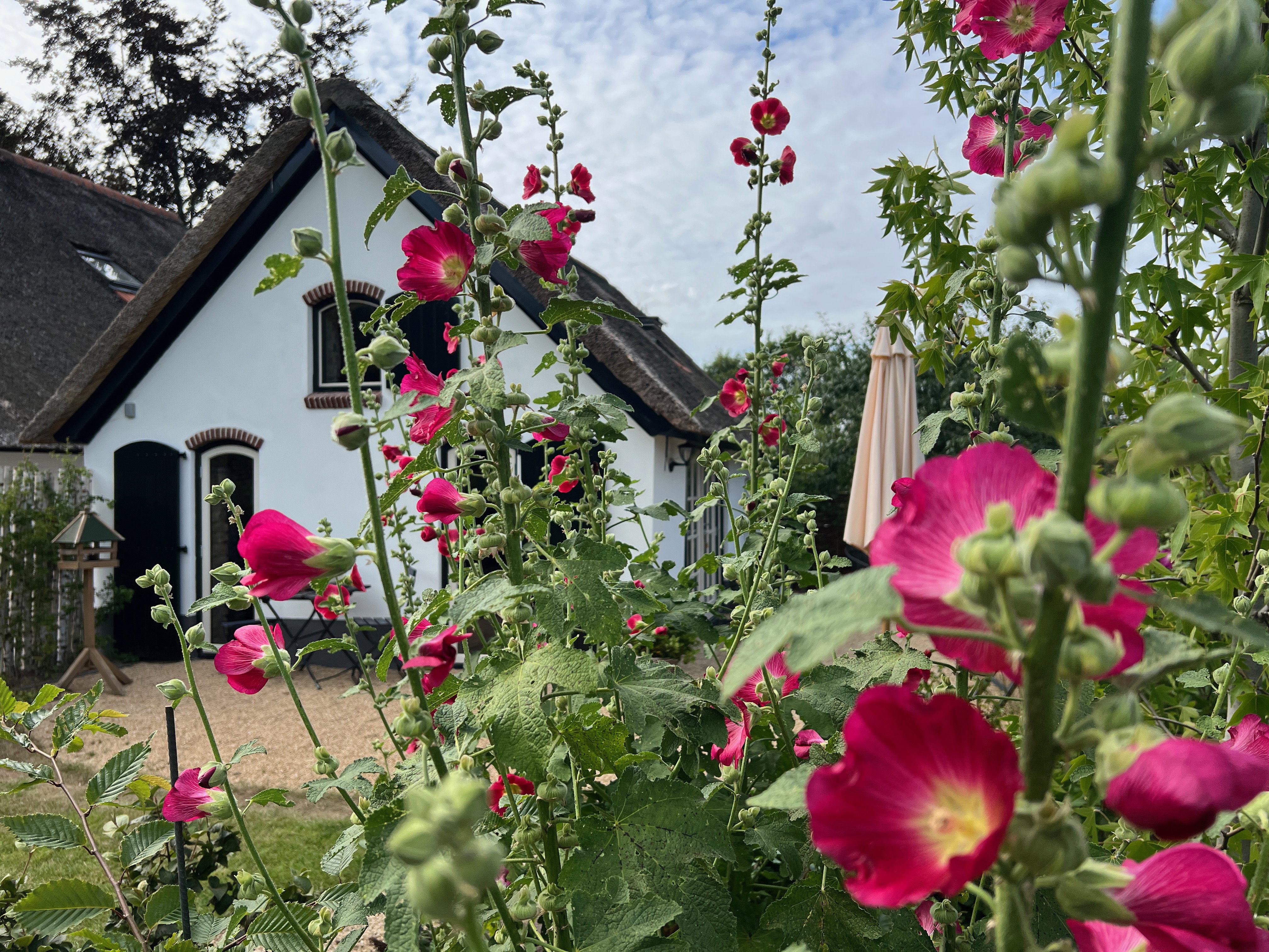 Naturhäuschen in Empe