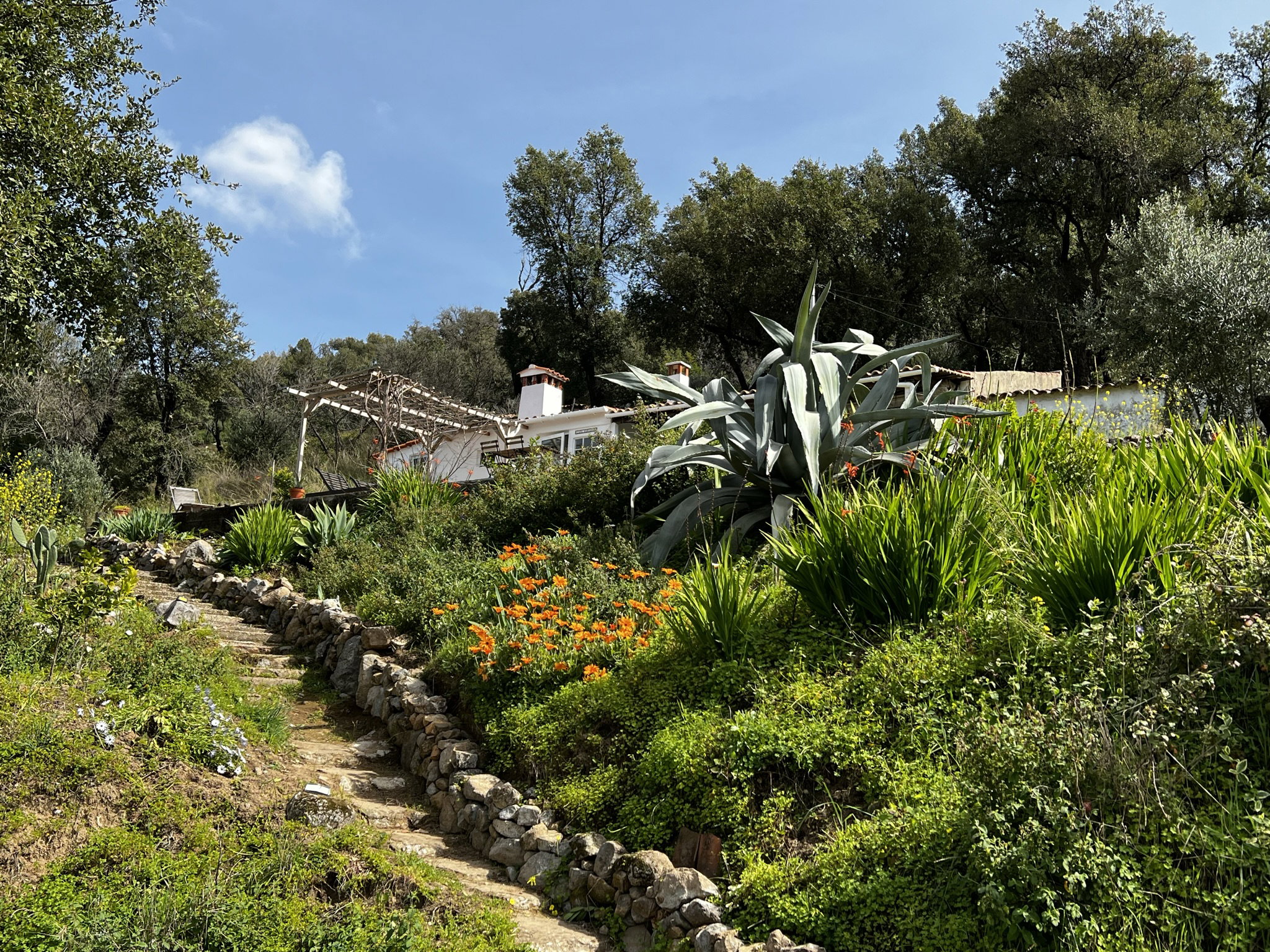 Naturhäuschen in Alferce