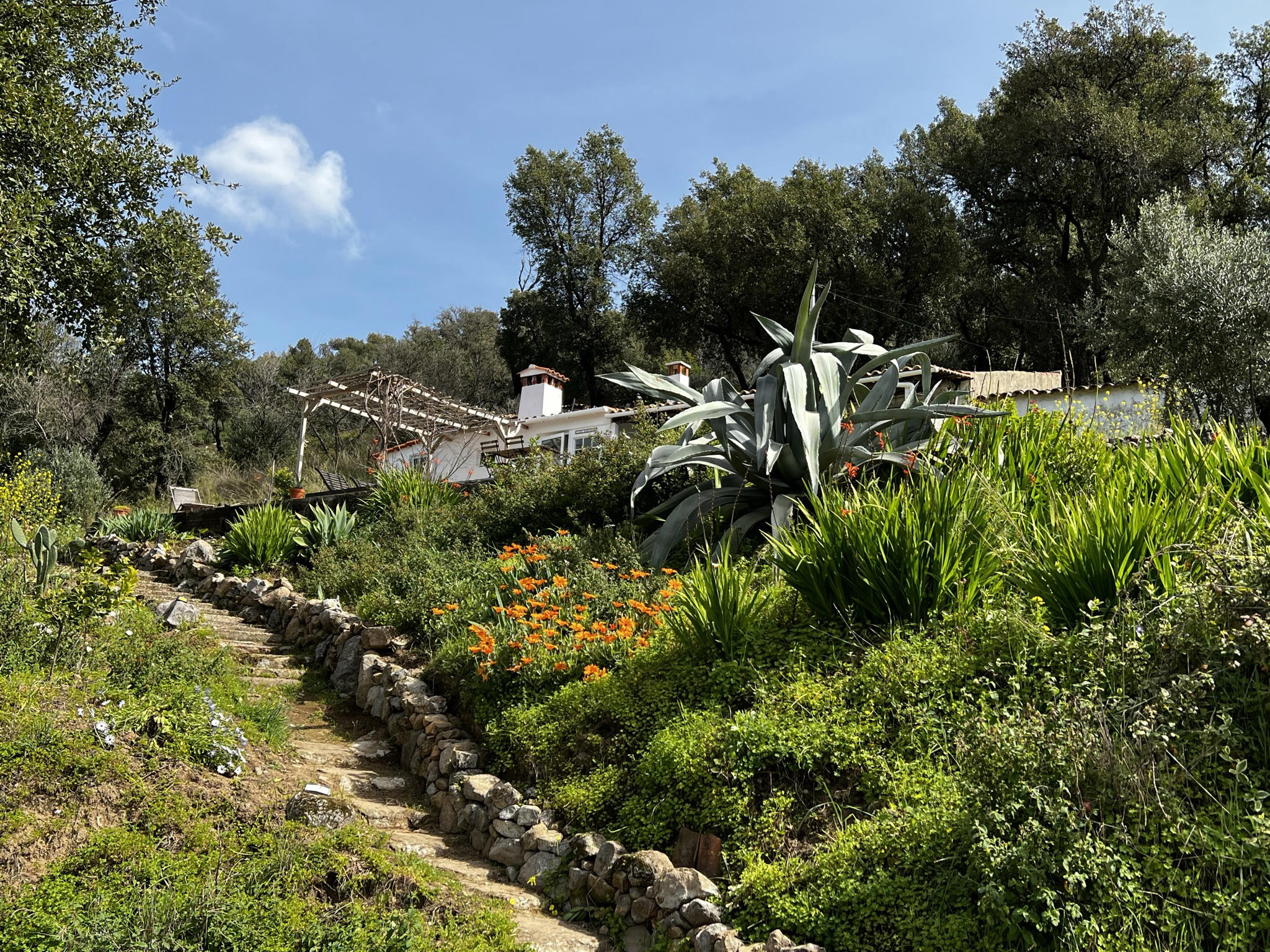 Nature house in Alferce
