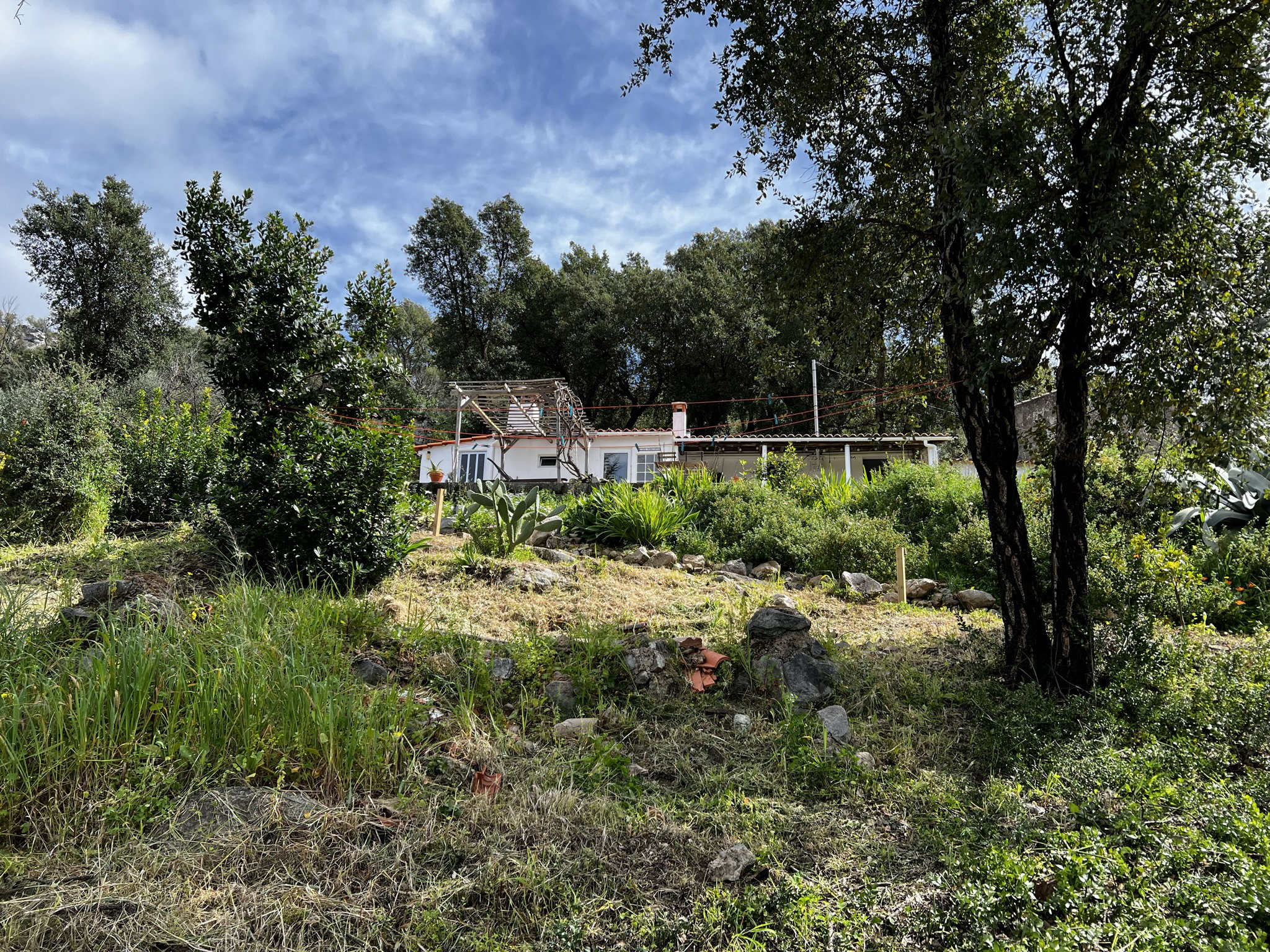 Naturhäuschen in Alferce