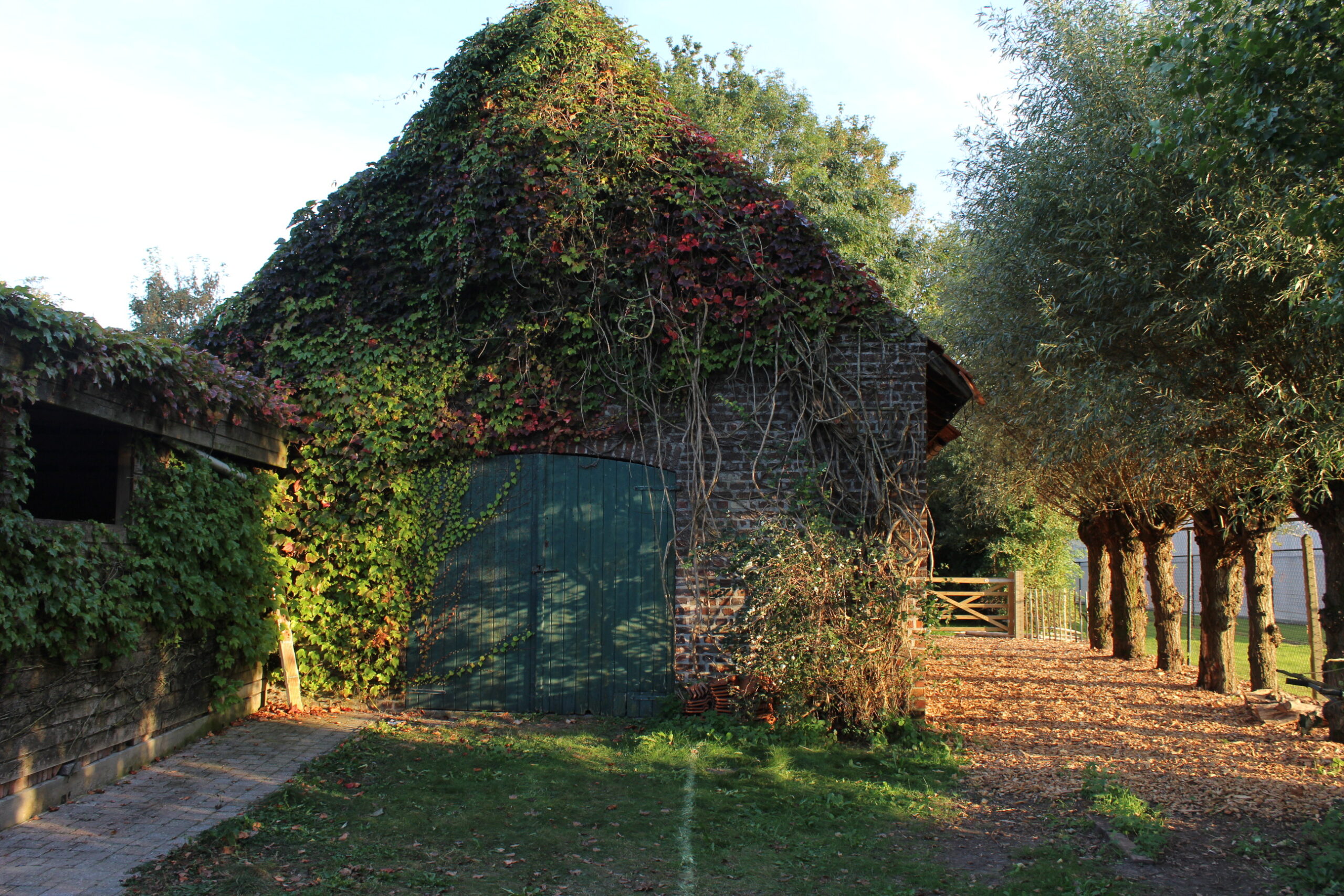 - image: 24