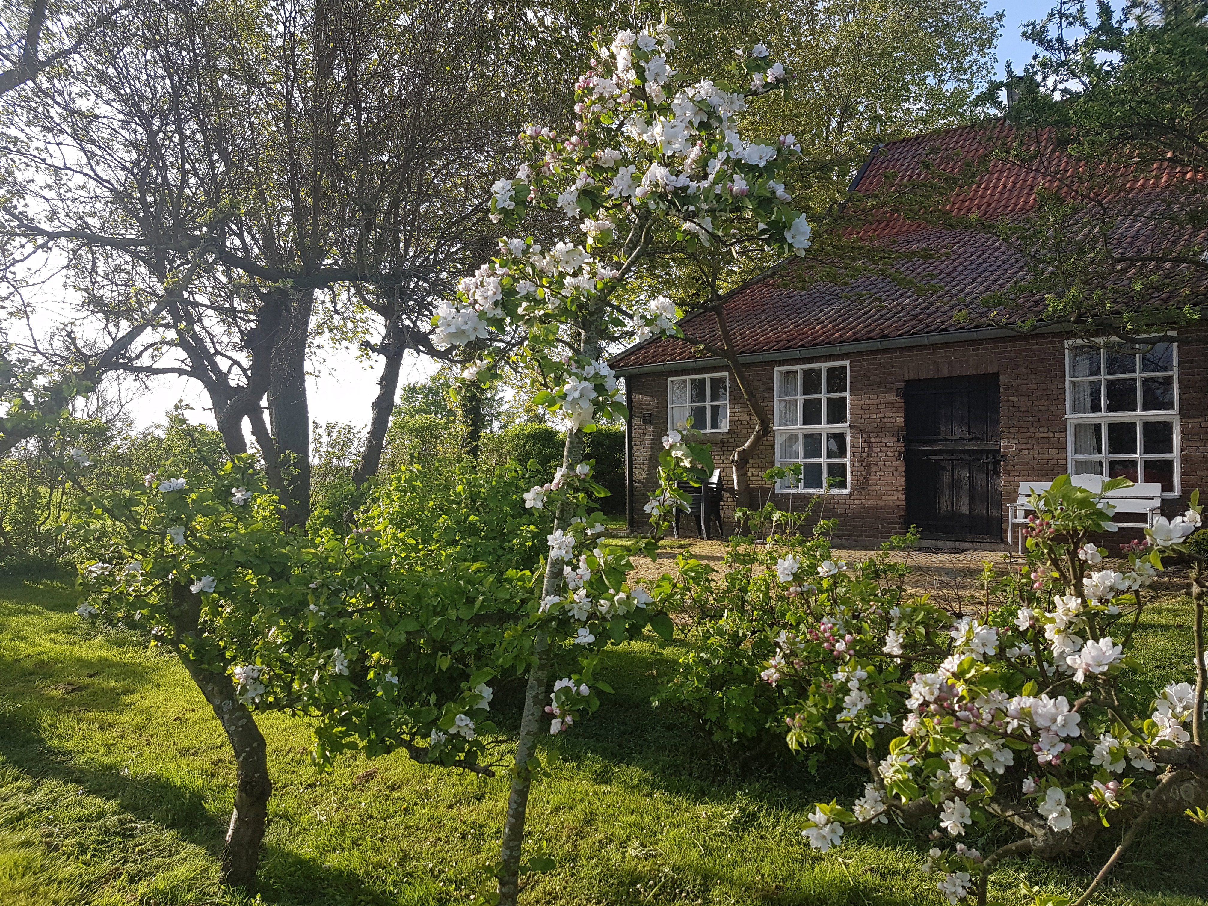 Natuurhuisje in Veere