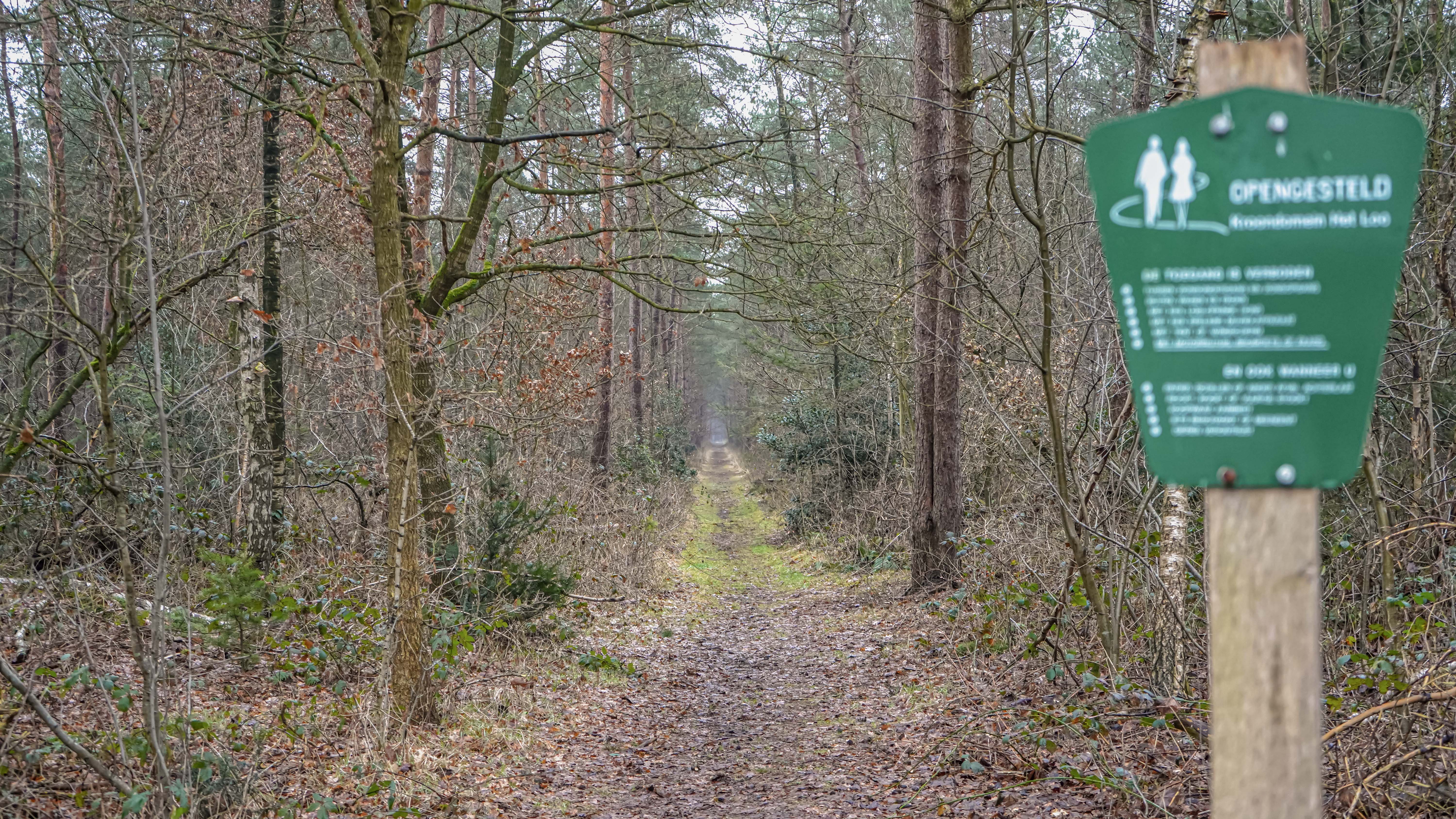 Naturhäuschen in Uddel
