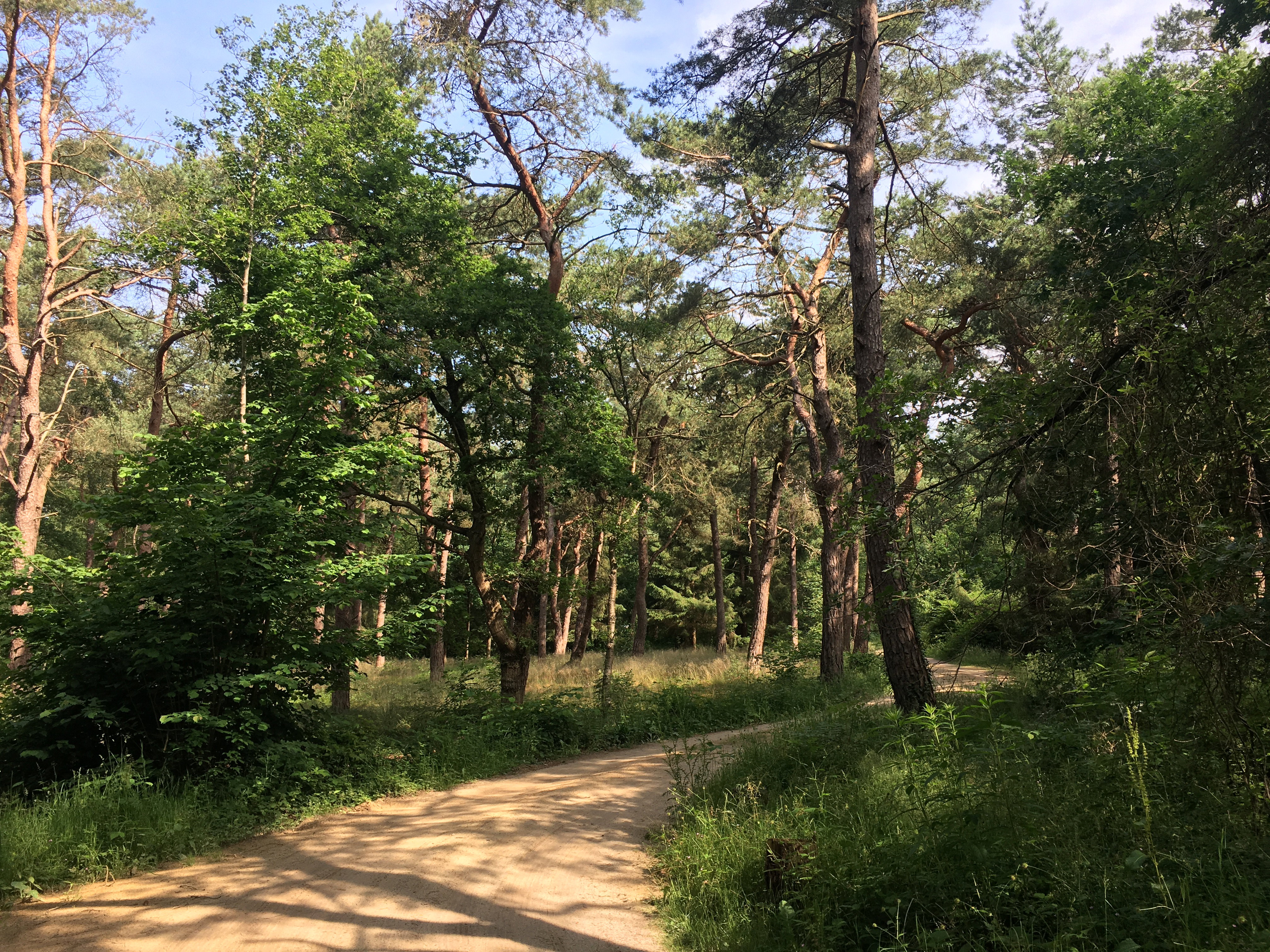 Naturhäuschen in Norg