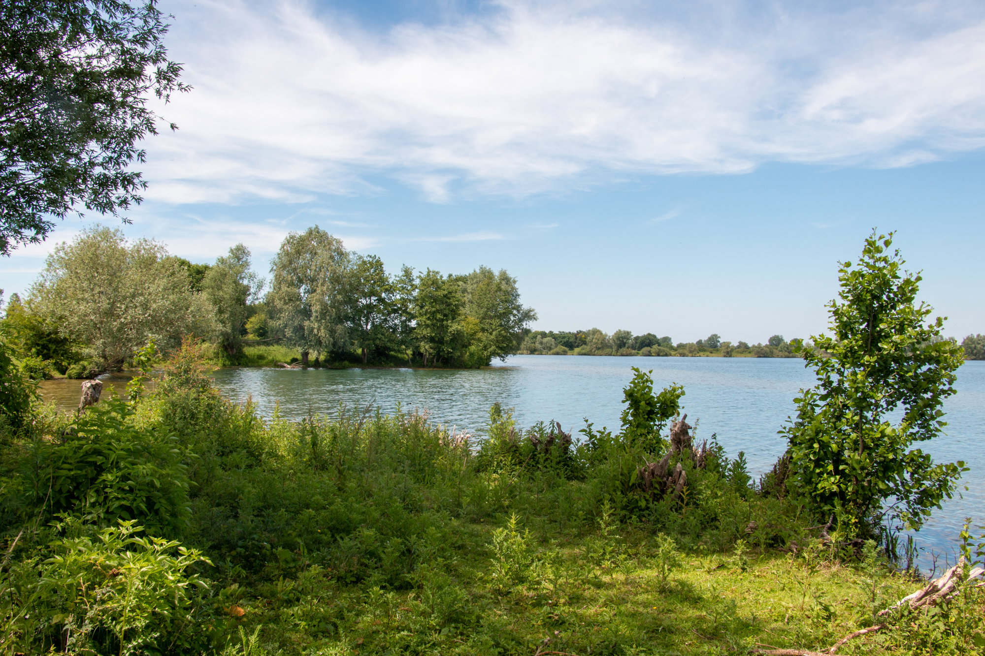 - image: 29