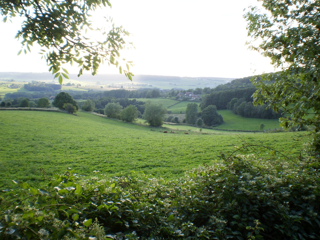 Maison nature à Vijlen