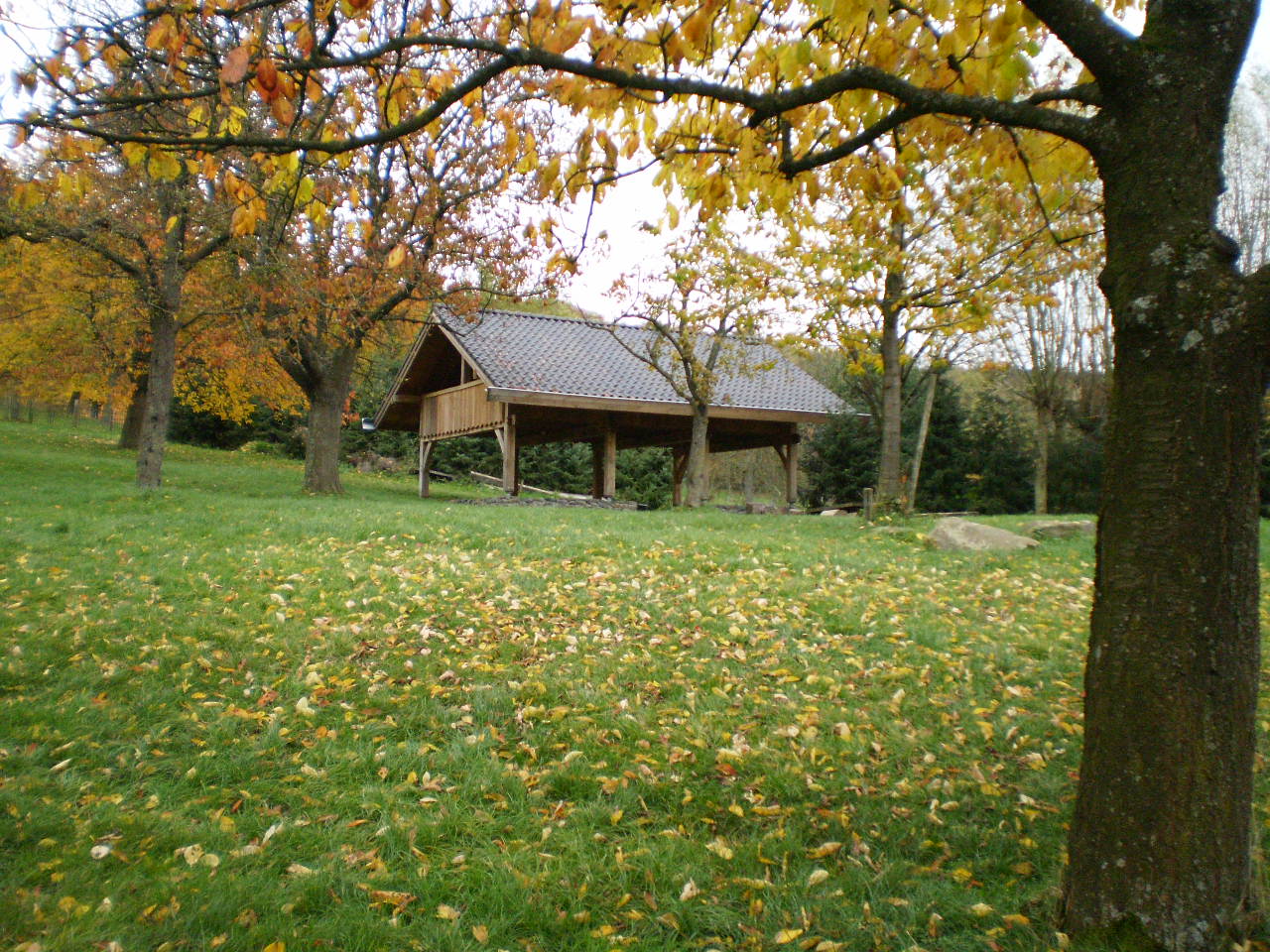 - image: 14