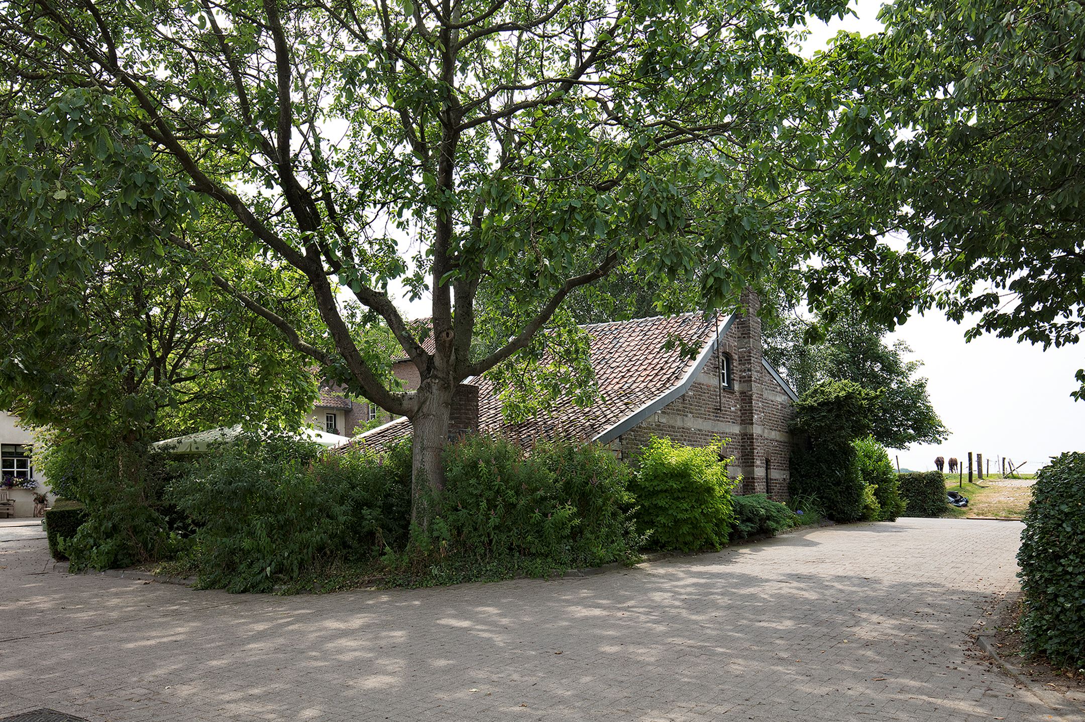 Maison nature à Wijlre