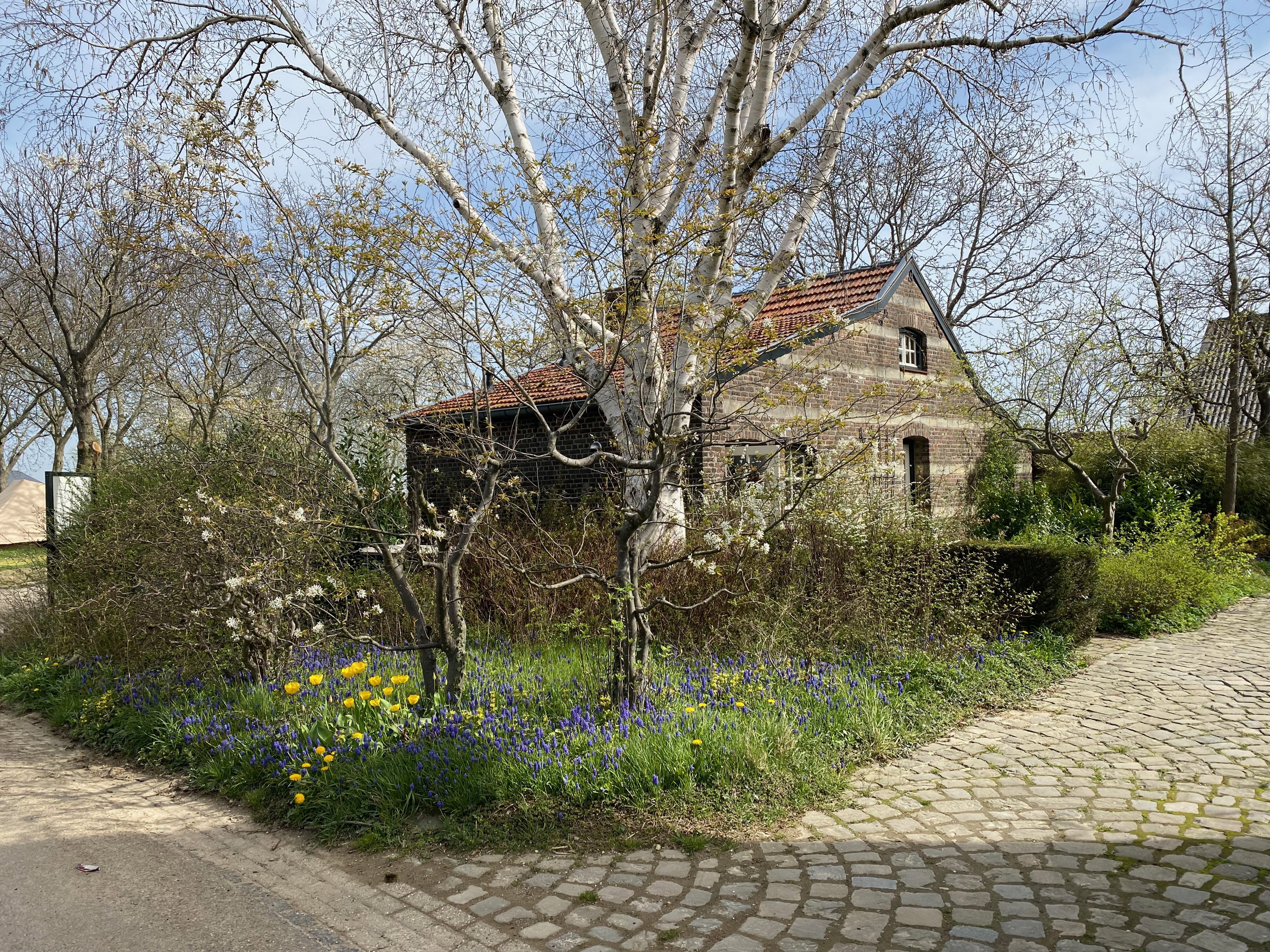 Naturhäuschen in Wijlre