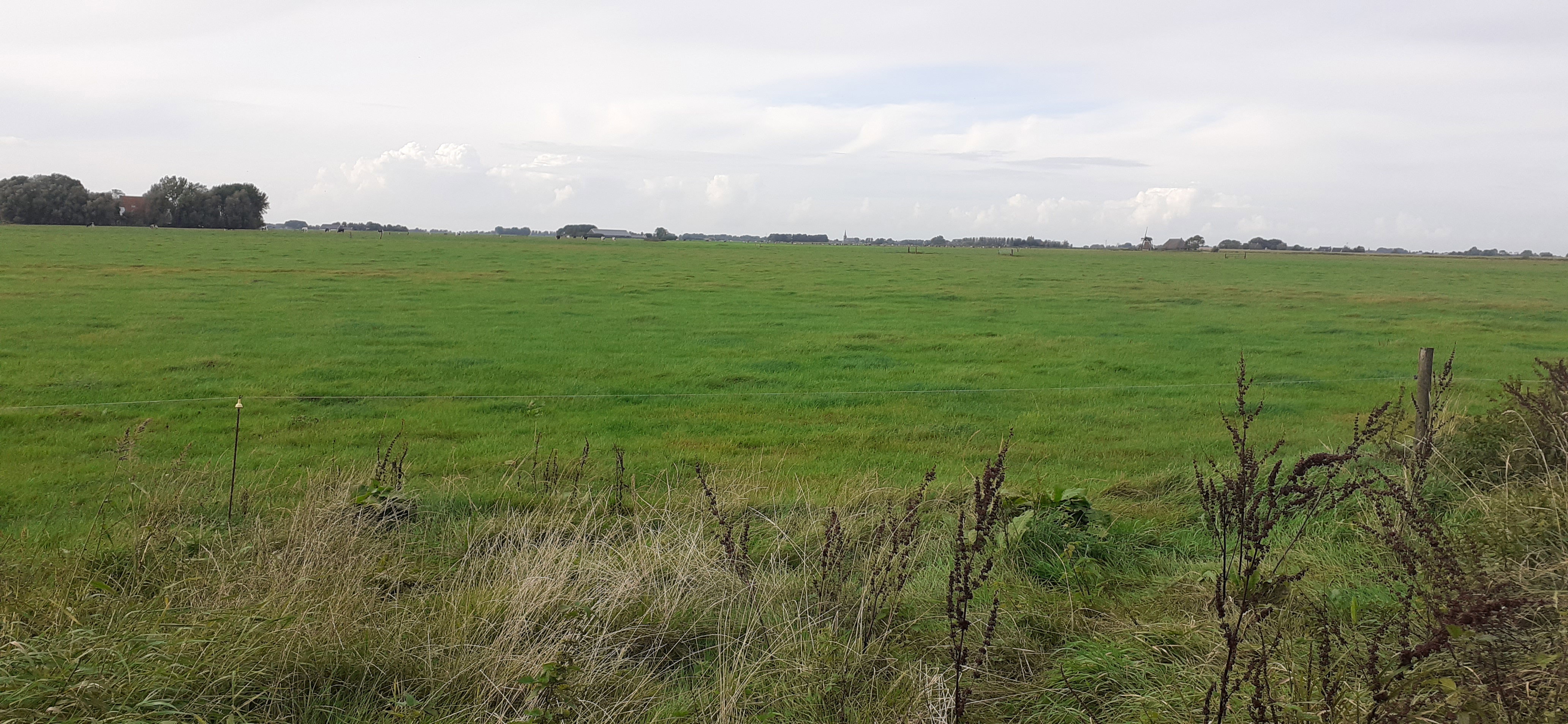 Naturhäuschen in Hallum (Bartlehiem)