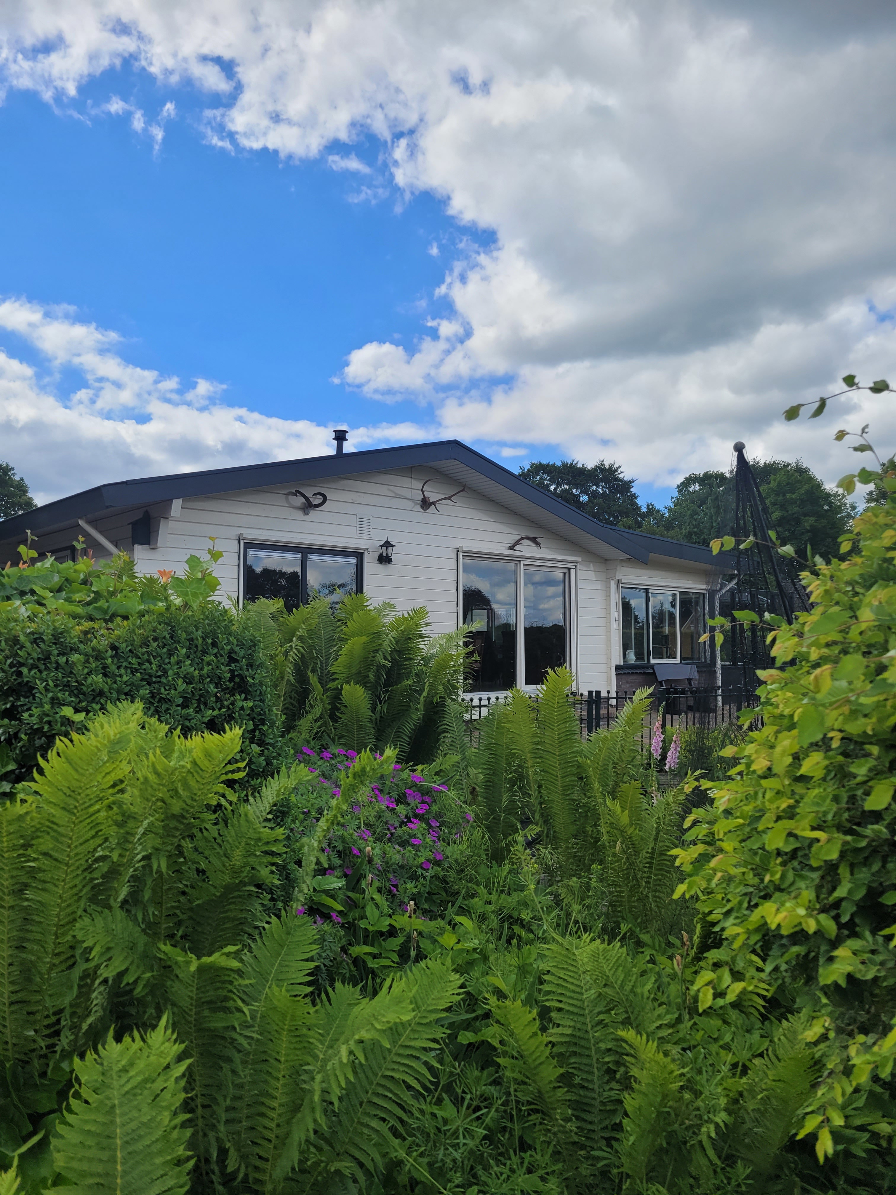 Natuurhuisje in Elspeet