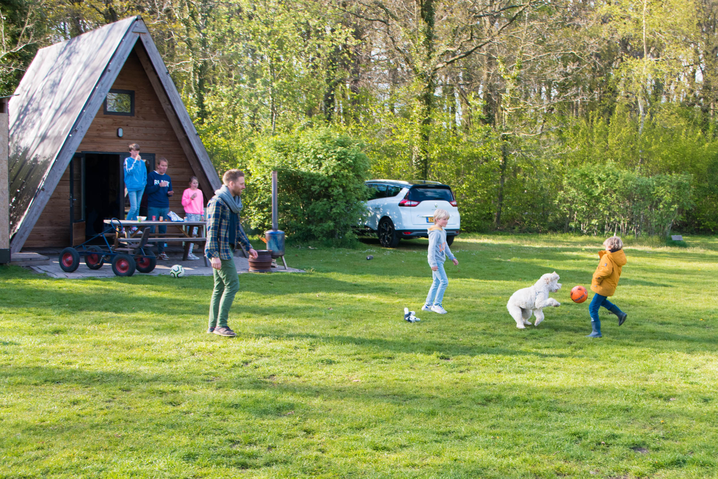 Naturhäuschen in Grolloo