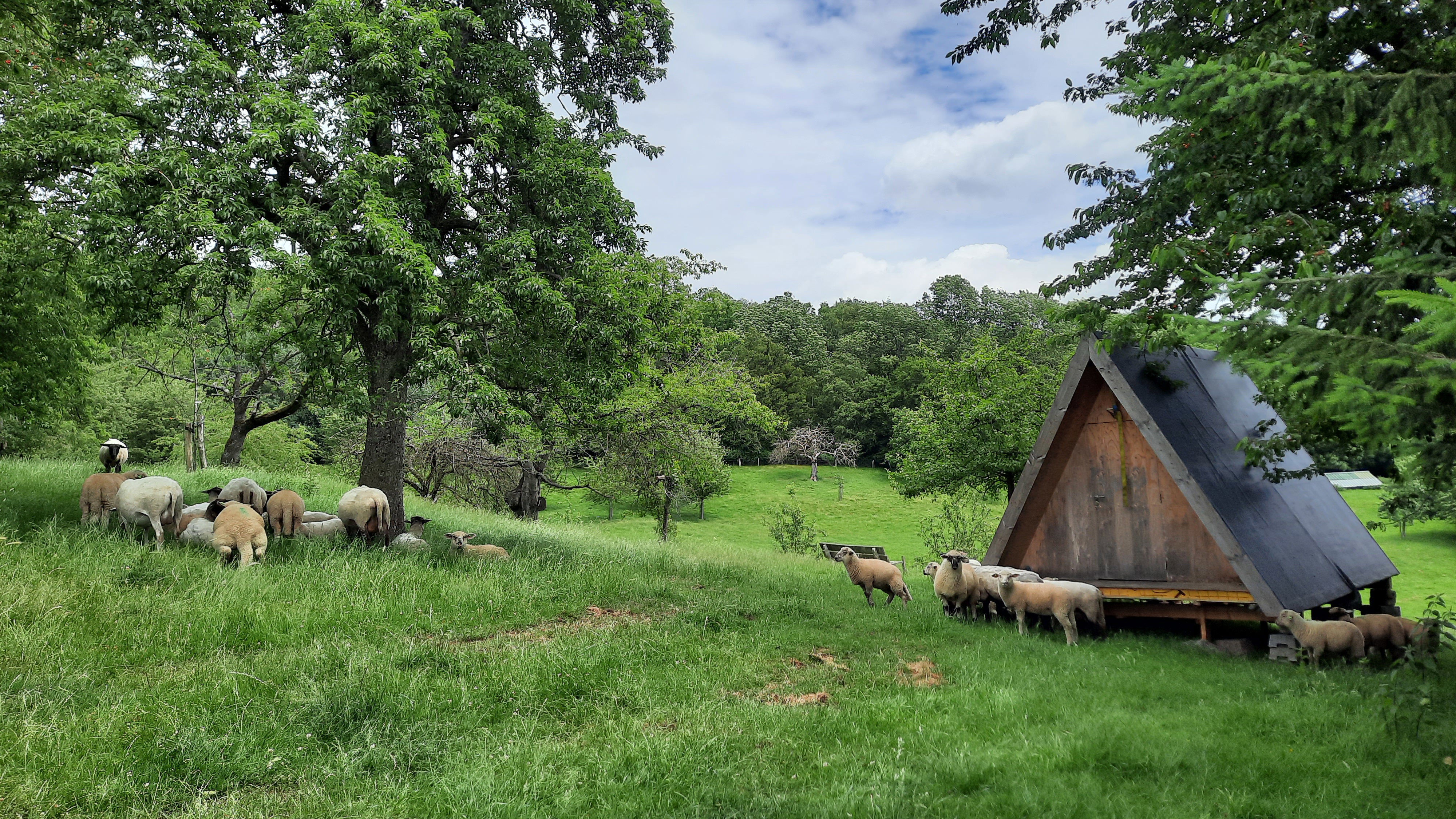 Maison nature à Vijlen