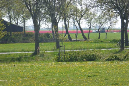 Naturhäuschen in Pingjum