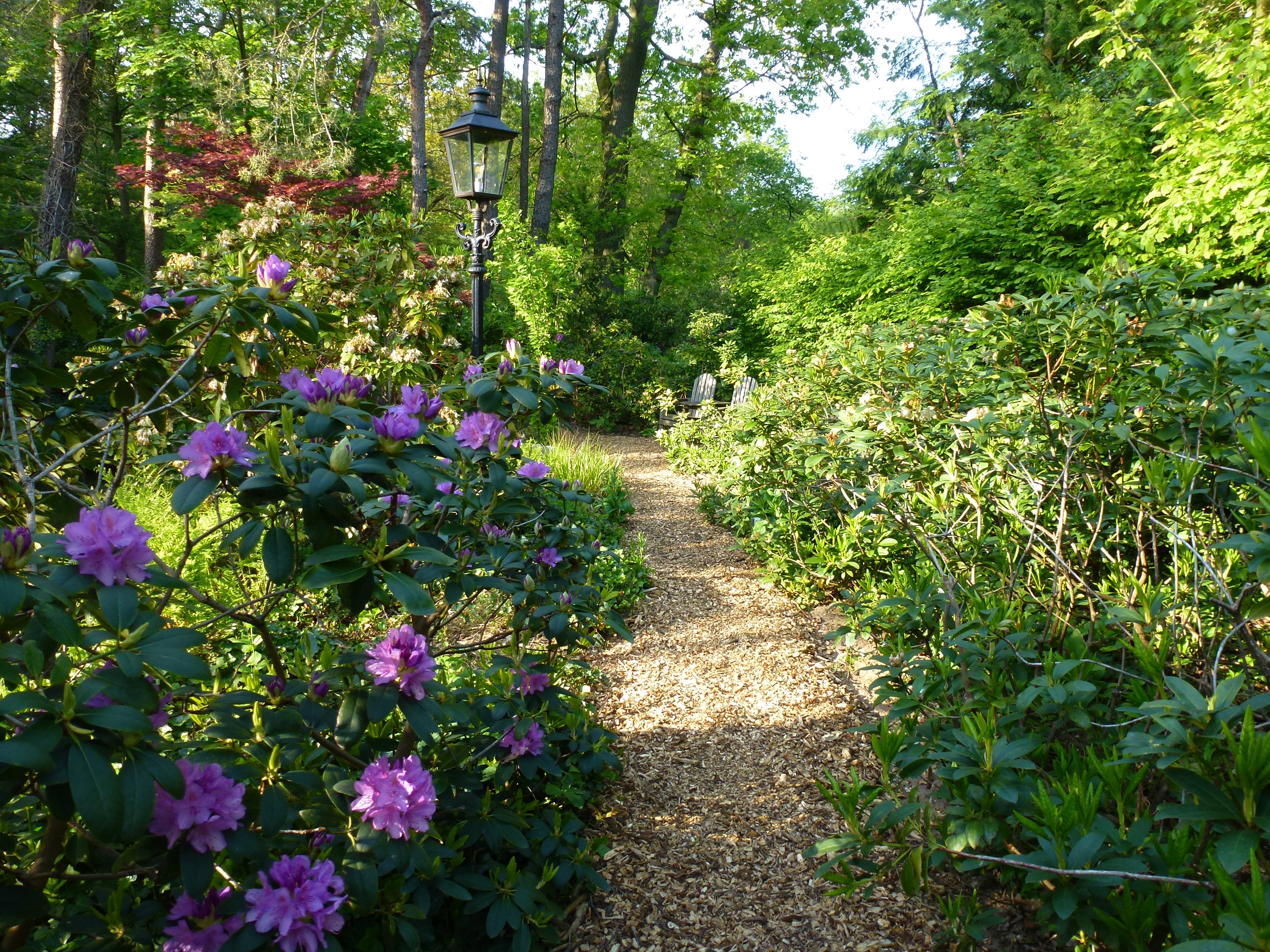Natuurhuisje in Markelo